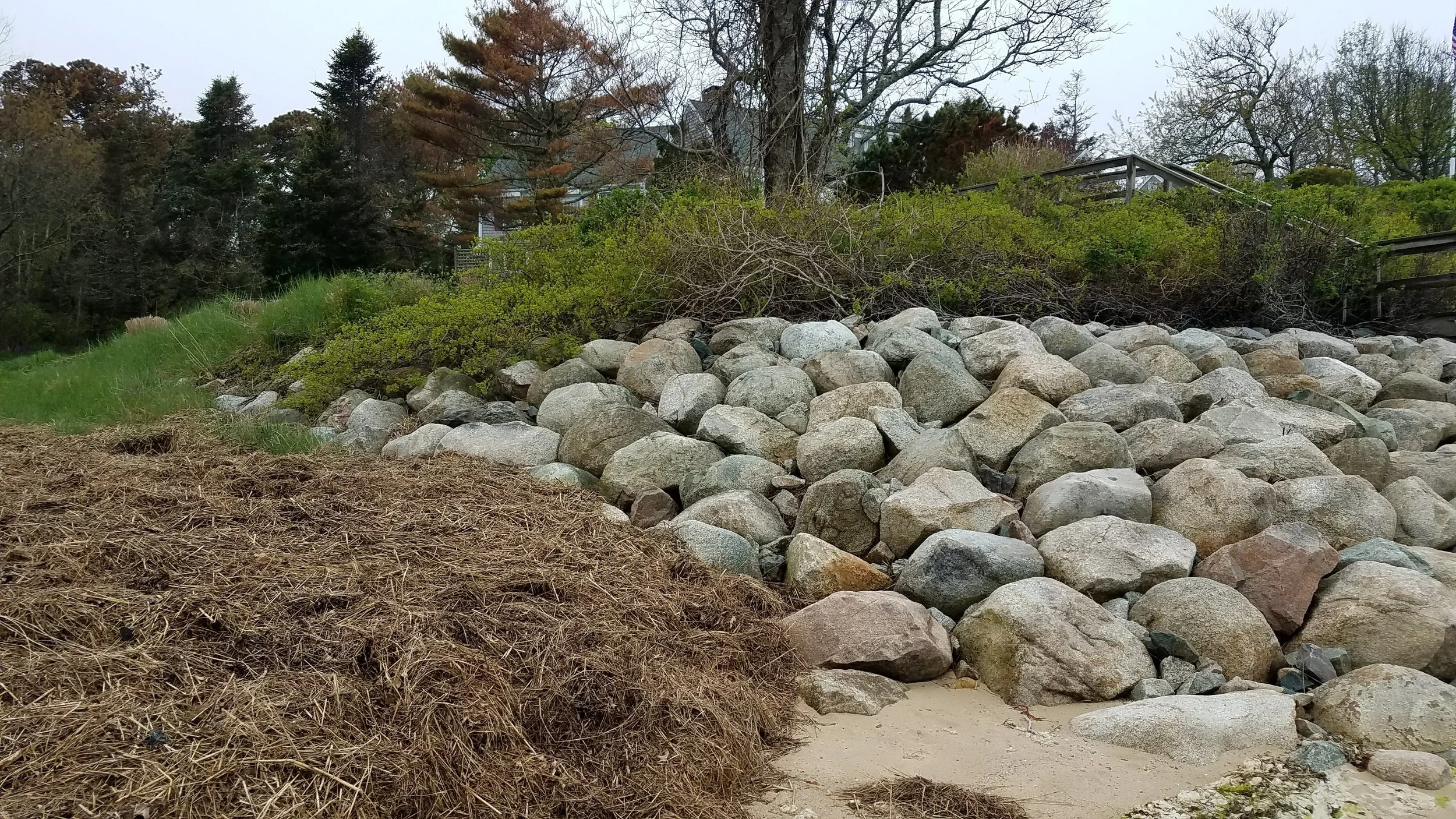 20180517_145829.jpg