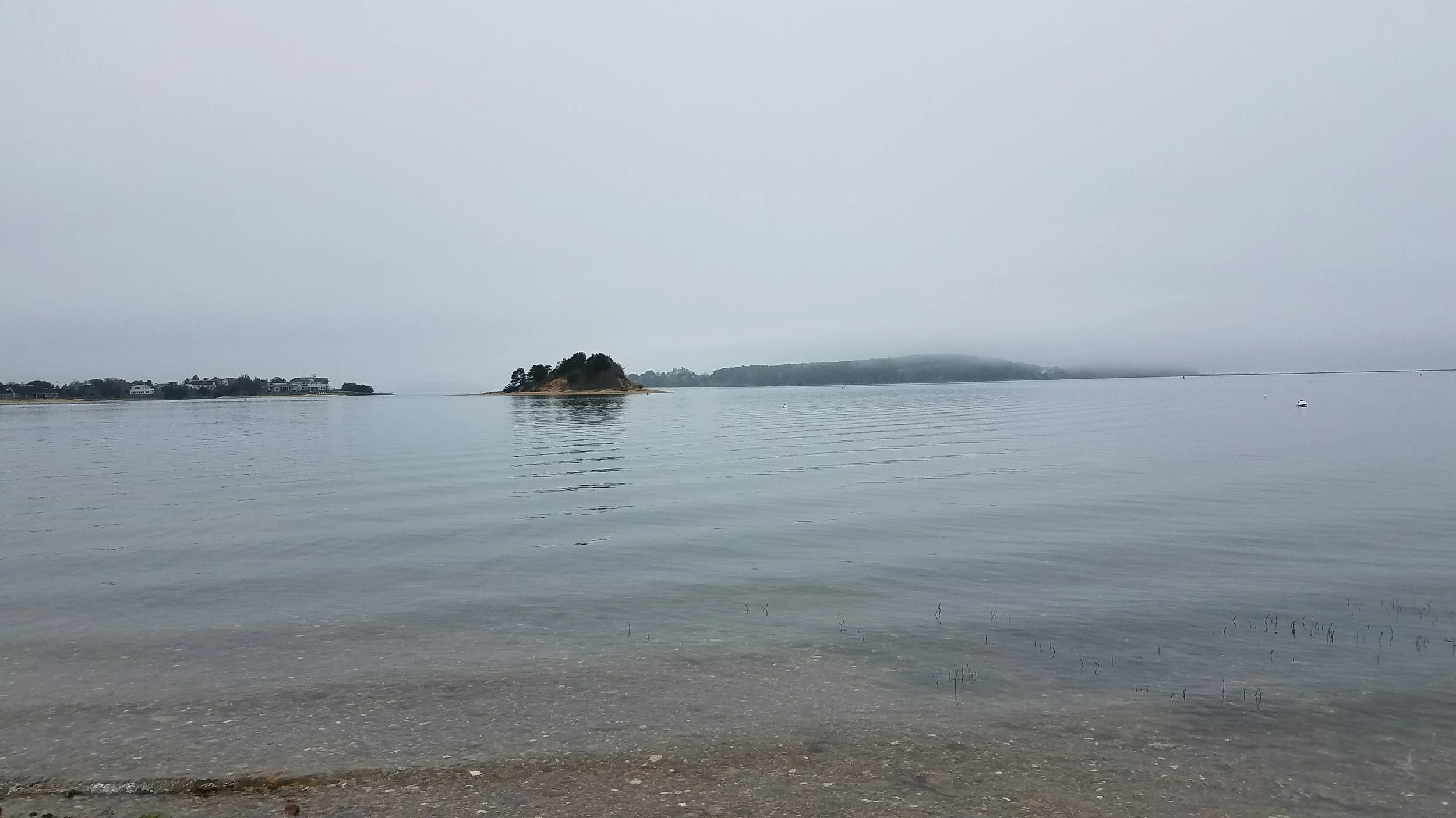 20180517_145831.jpg