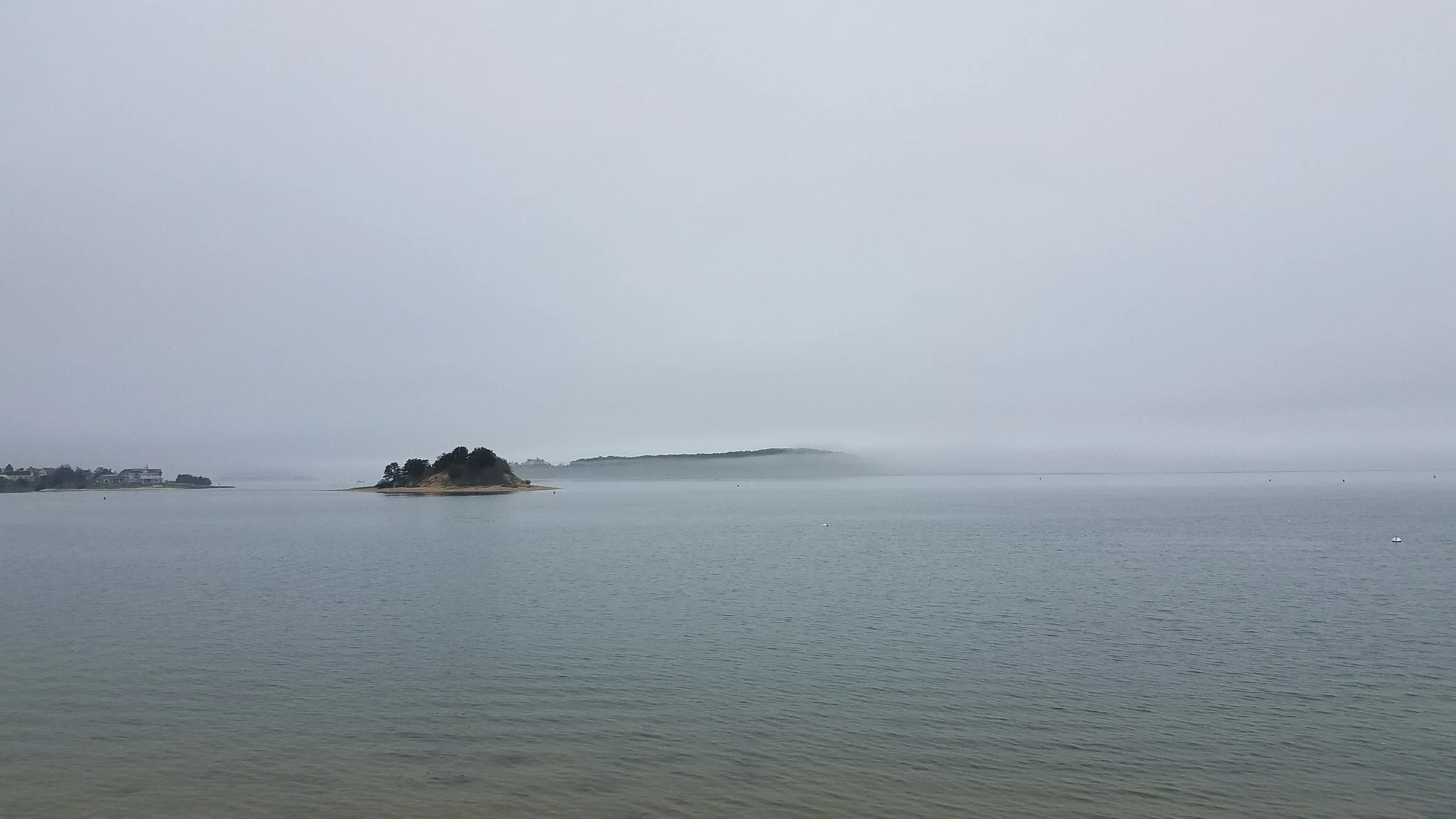 20180517_151131.jpg