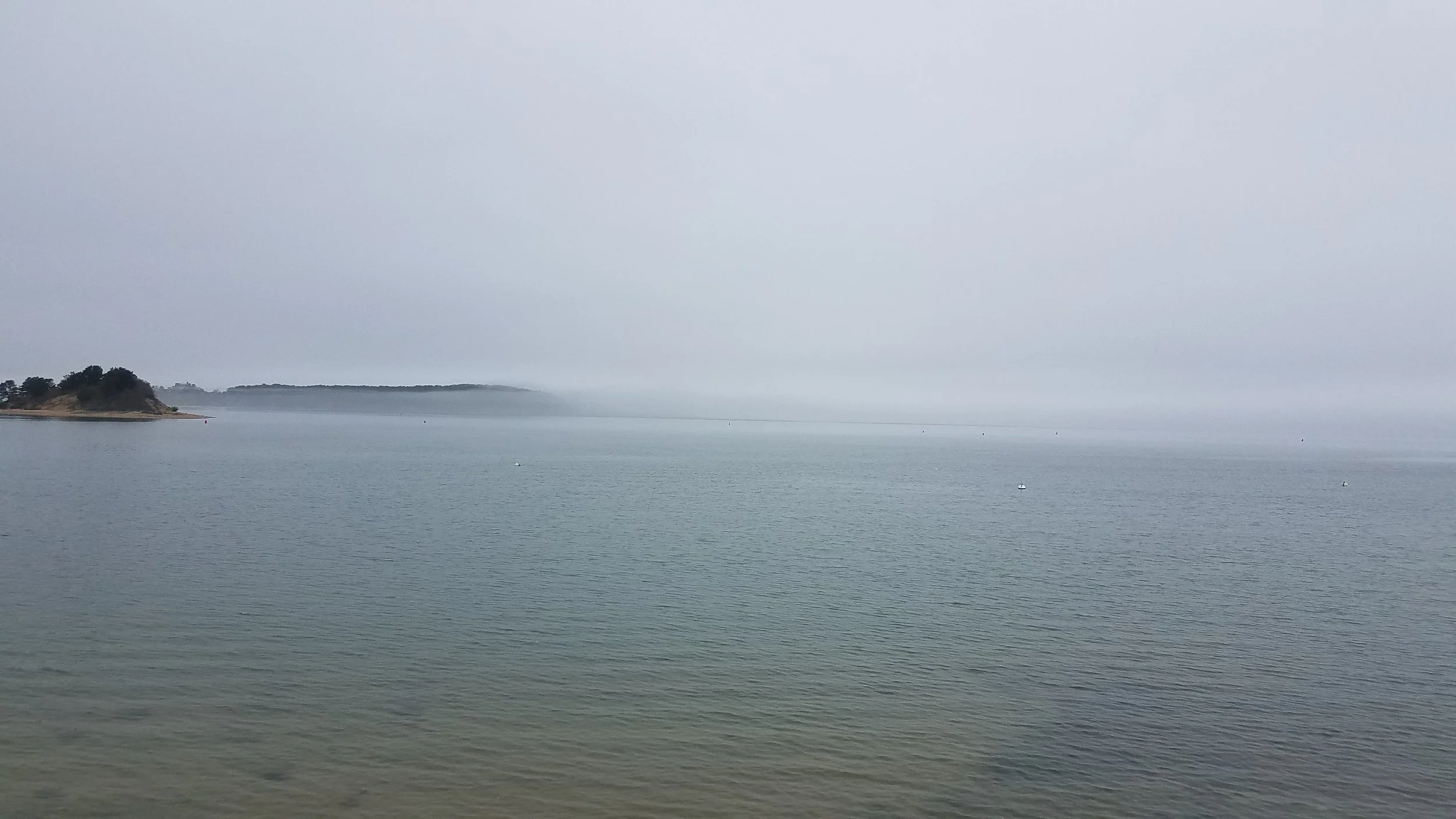 20180517_151132(0).jpg