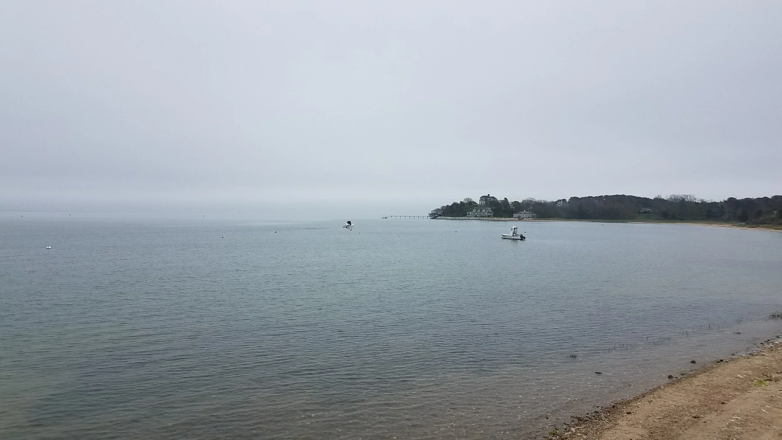 20180517_151135.jpg