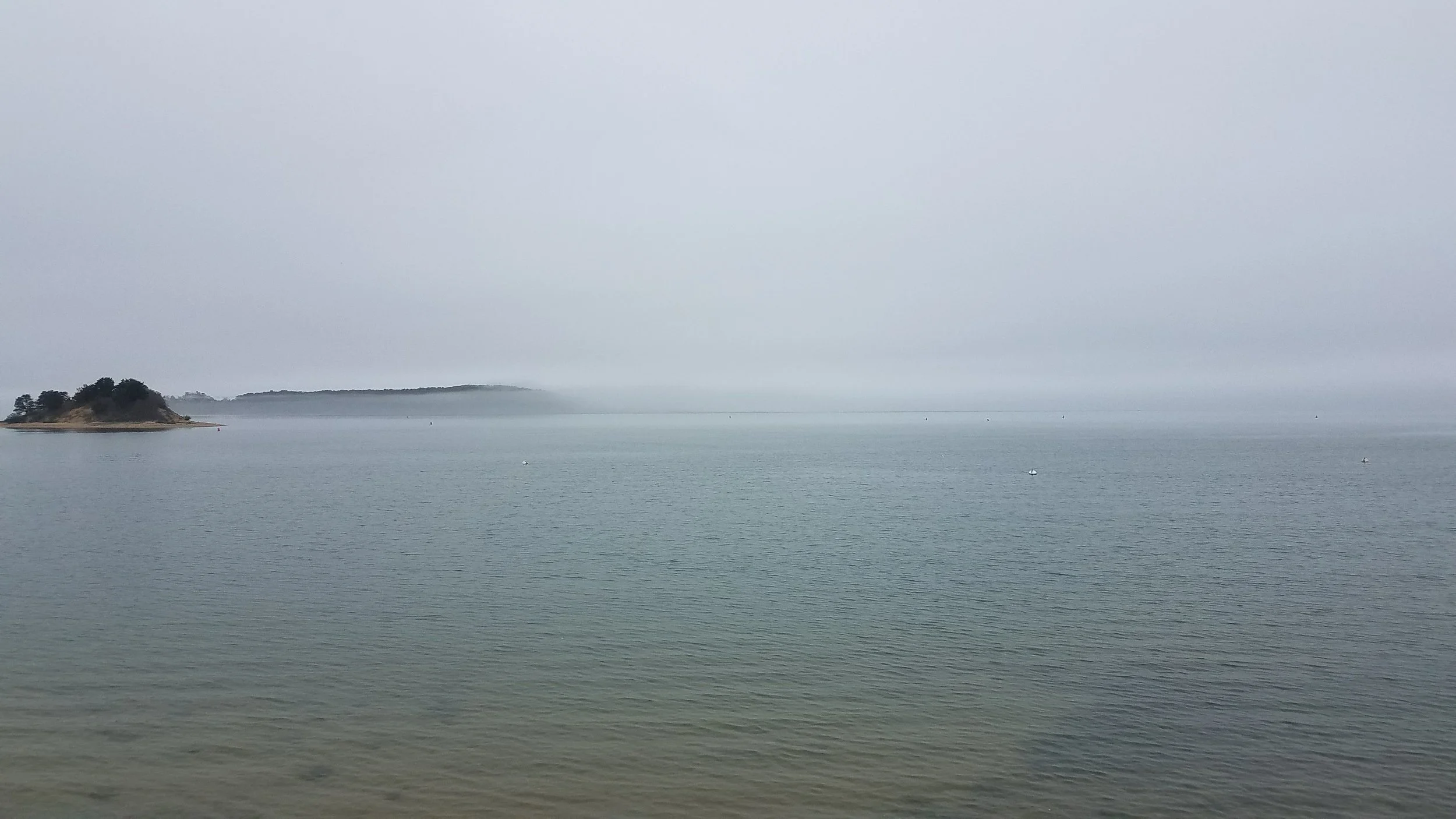 20180517_151136.jpg