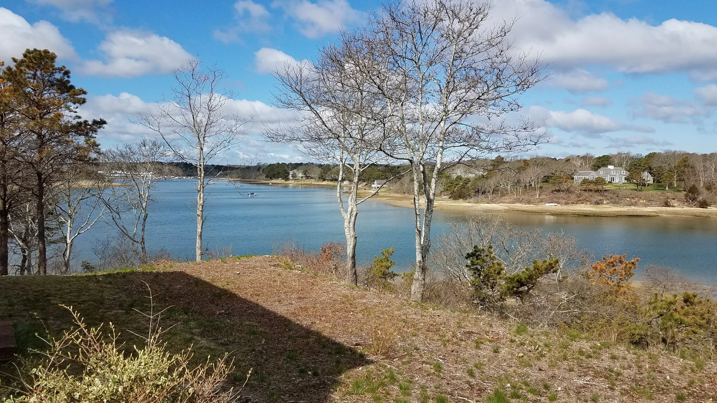 20180501_095049.jpg