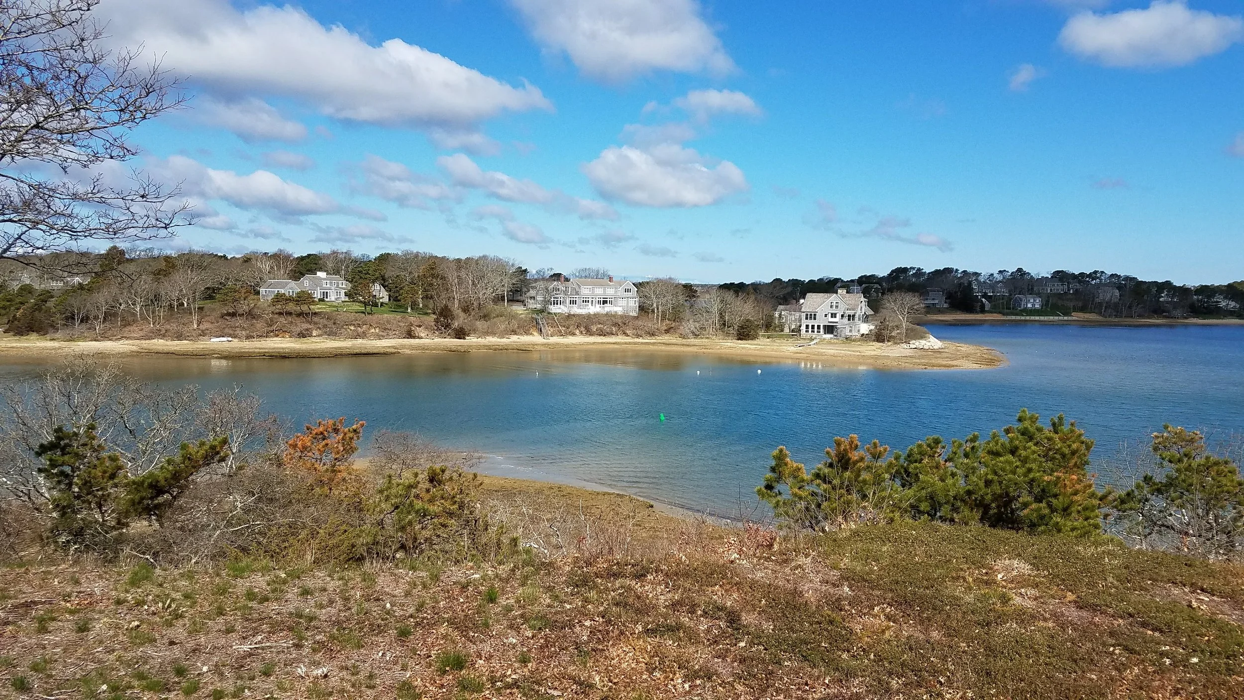 20180501_095051.jpg