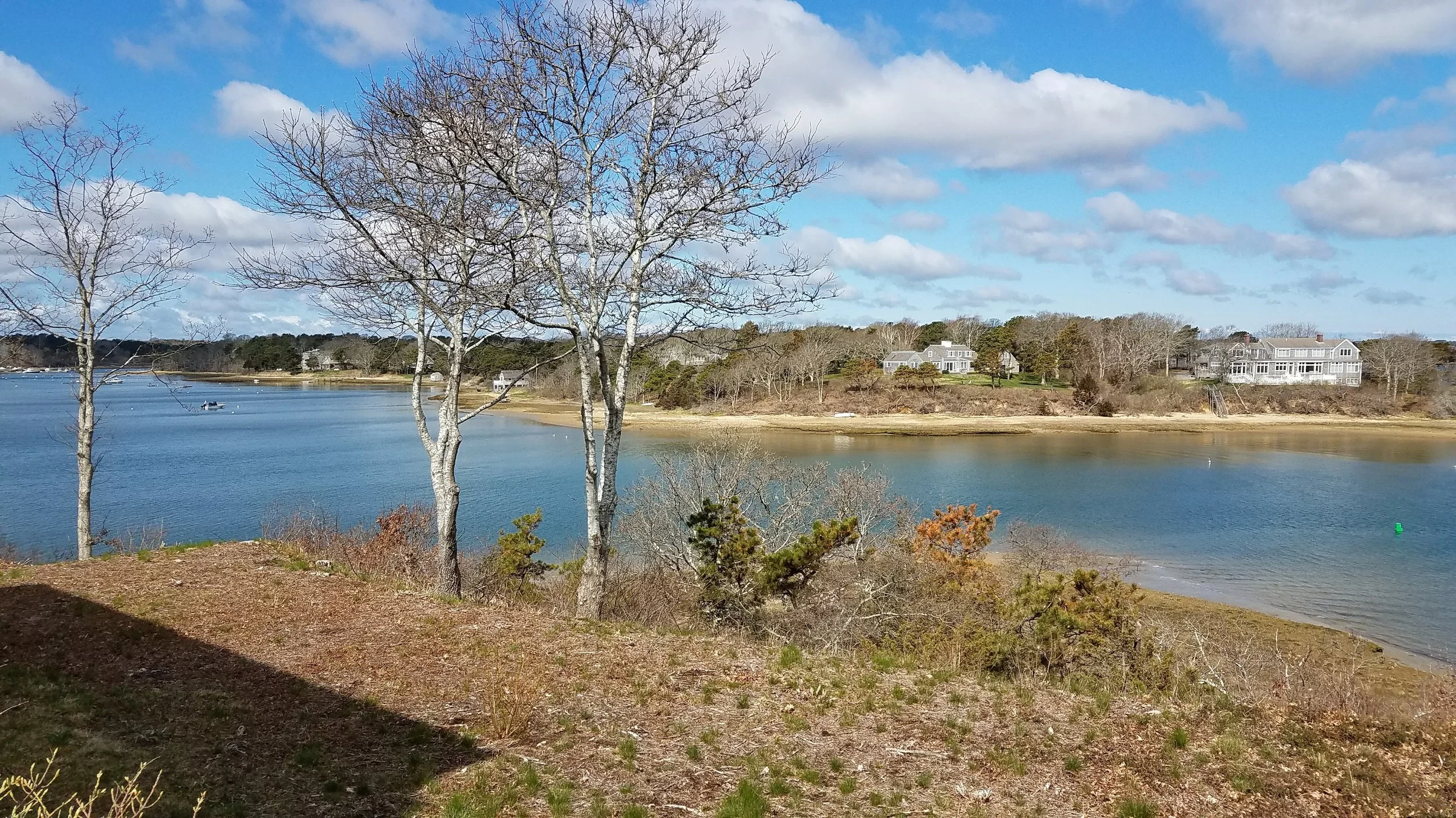 20180501_095050.jpg