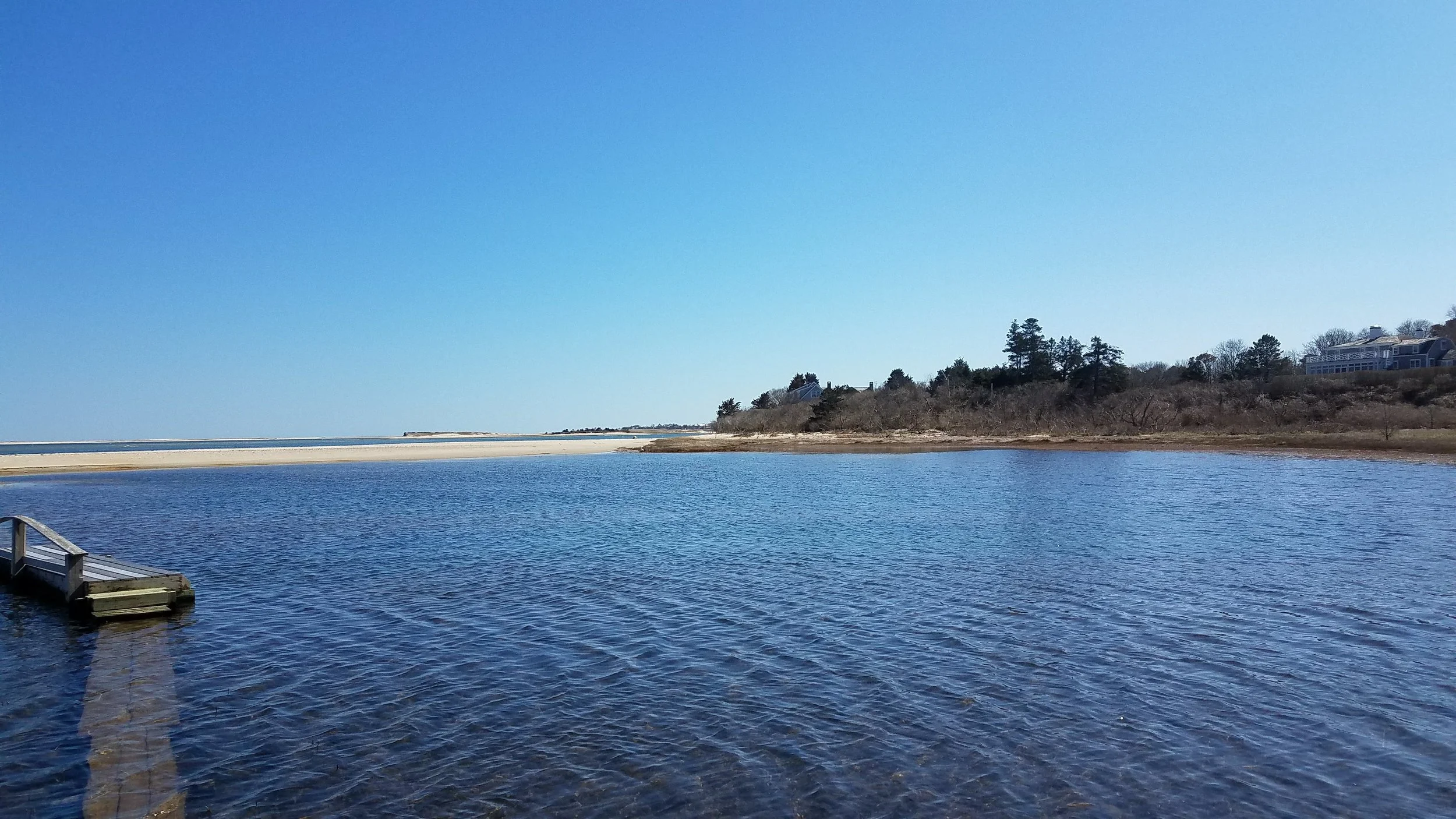 20180421_145955.jpg