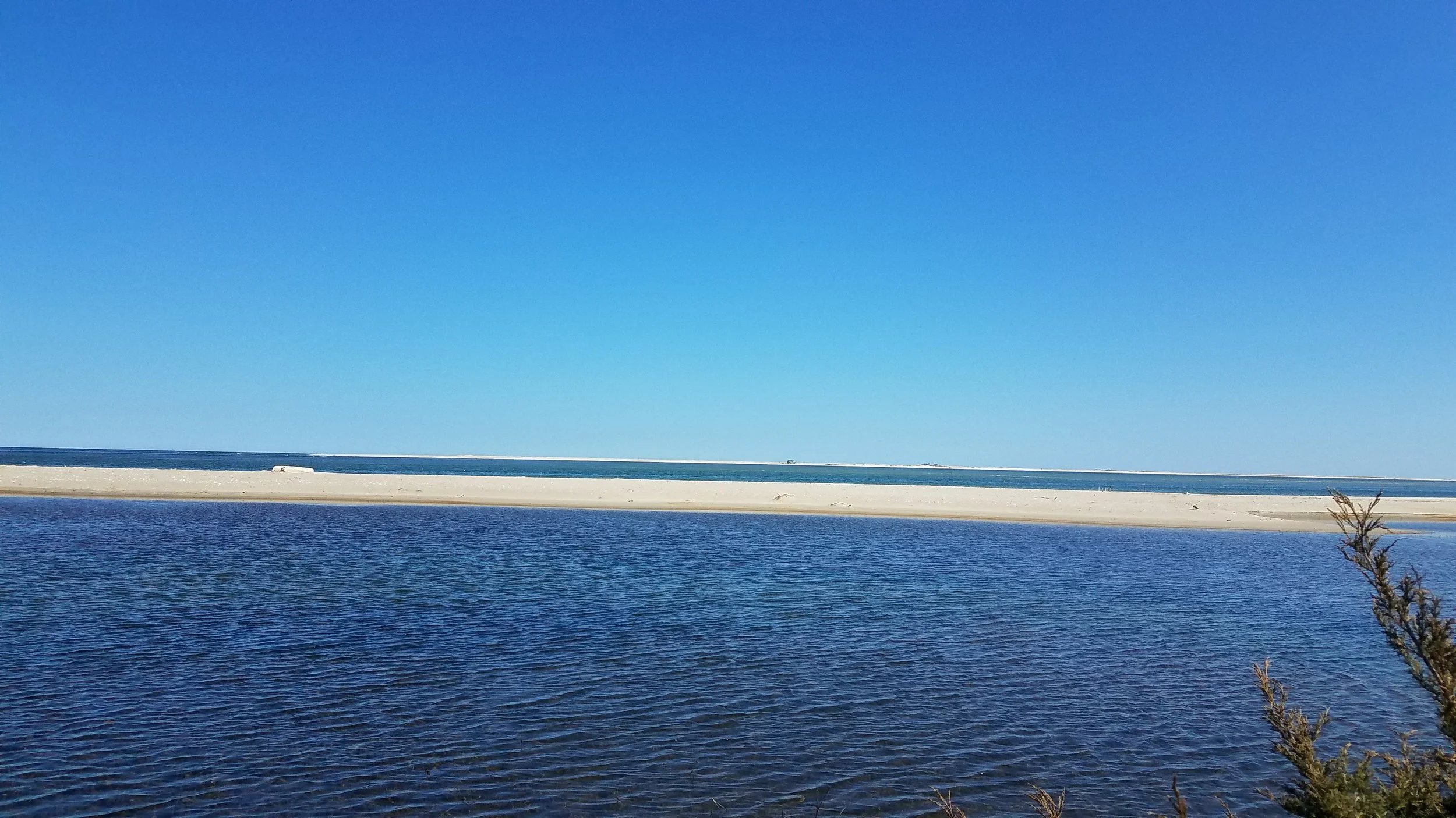 20180421_150016.jpg