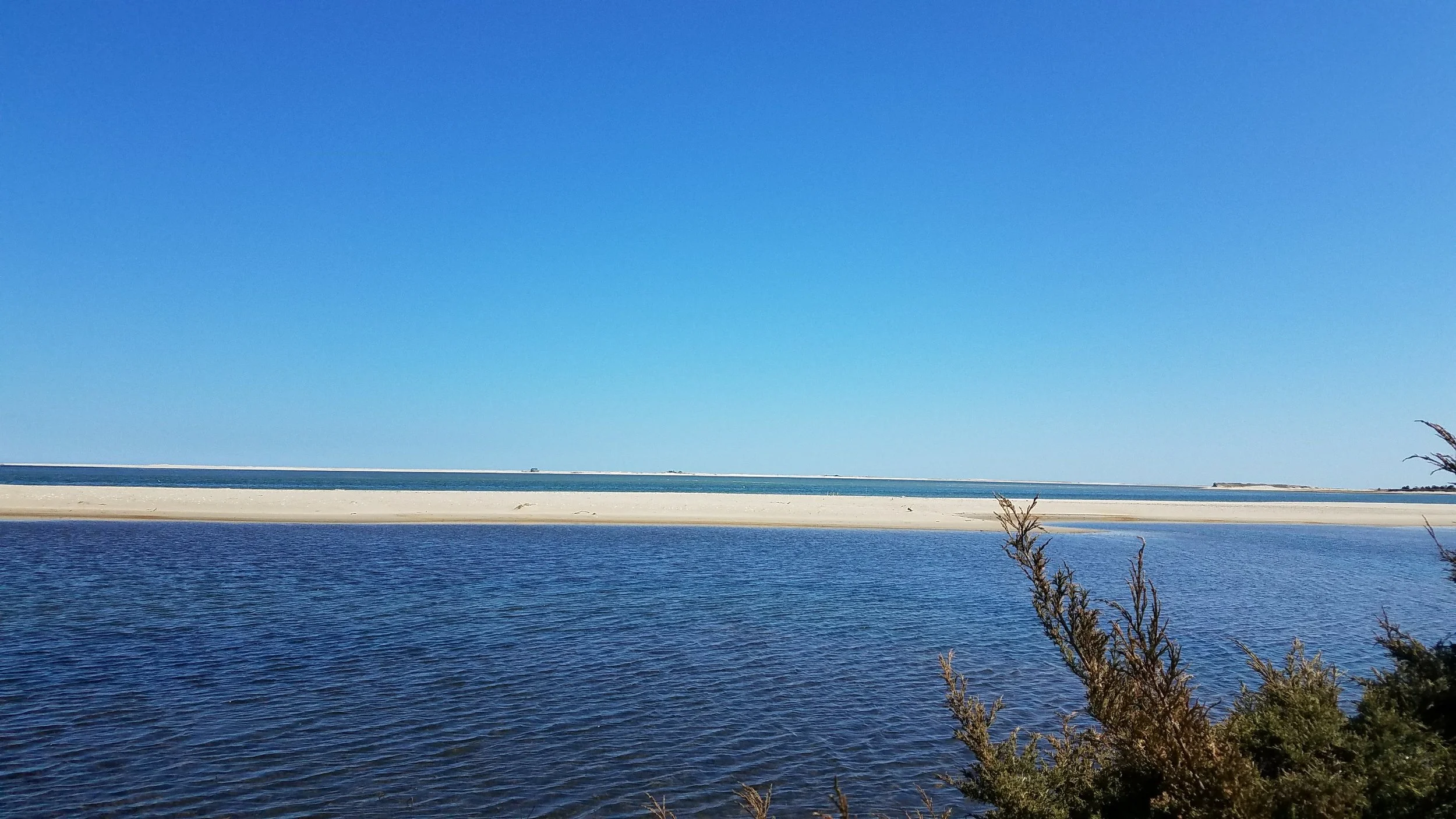 20180421_150017.jpg