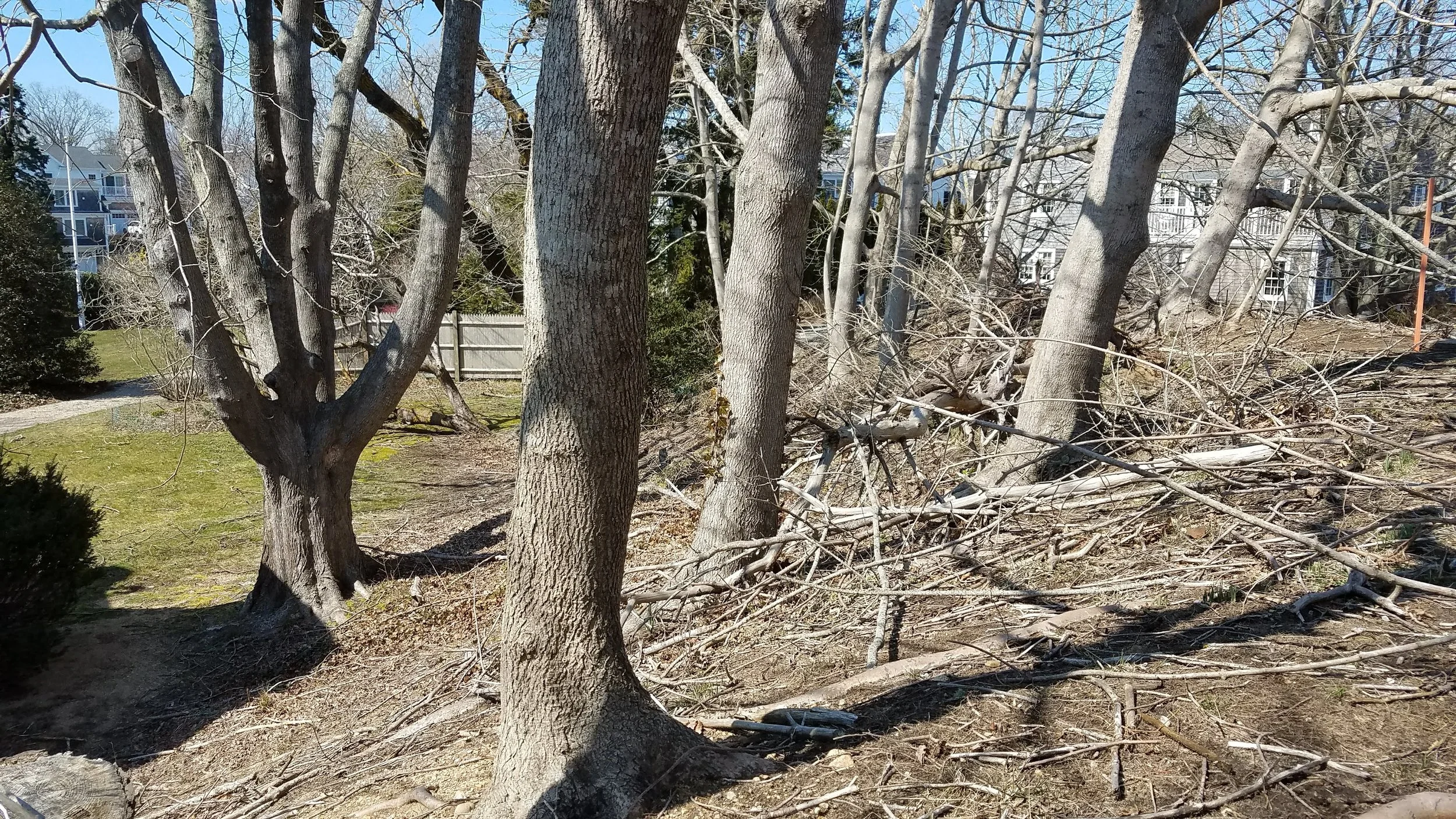 20180418_143310(0).jpg