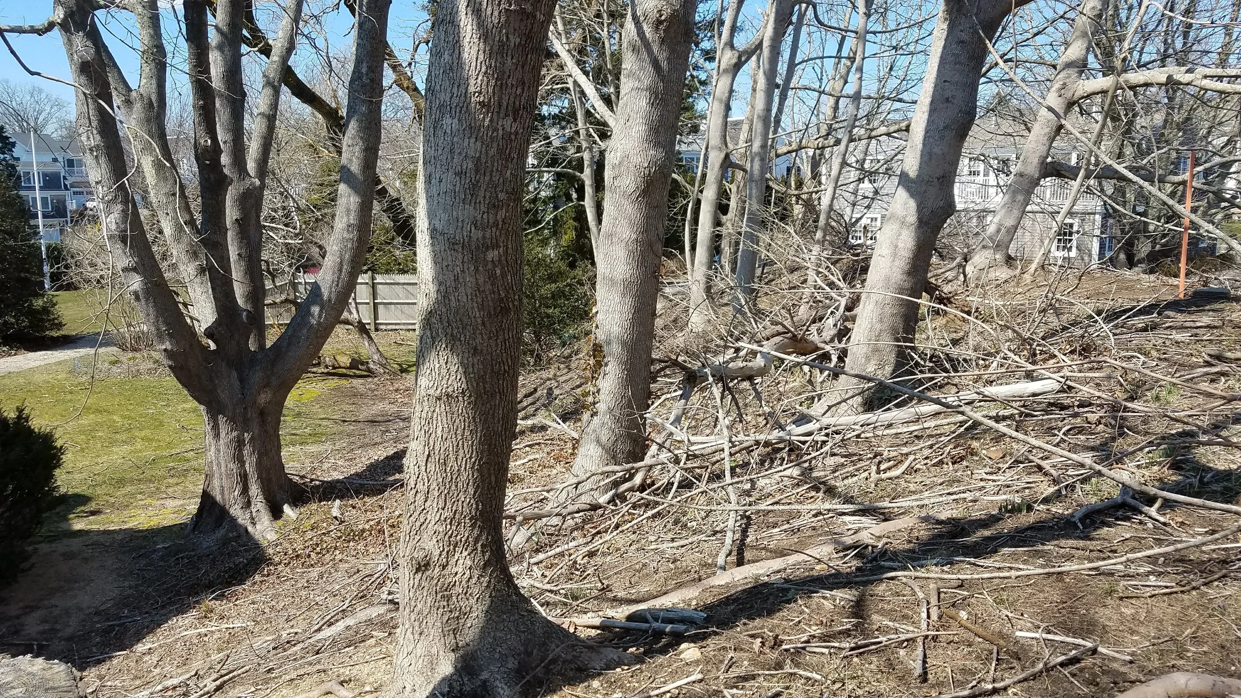 20180418_143310.jpg