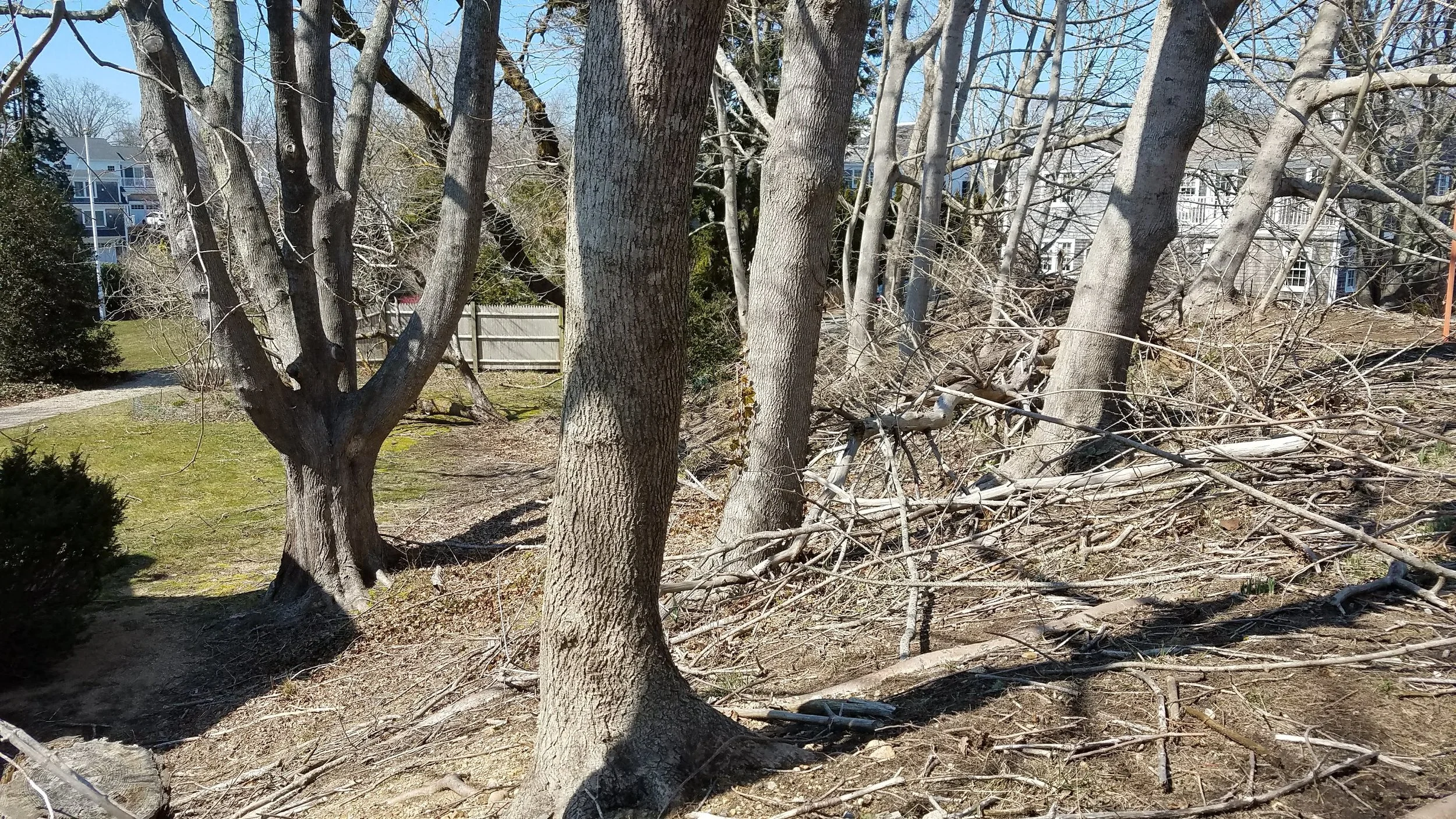 20180418_143311.jpg