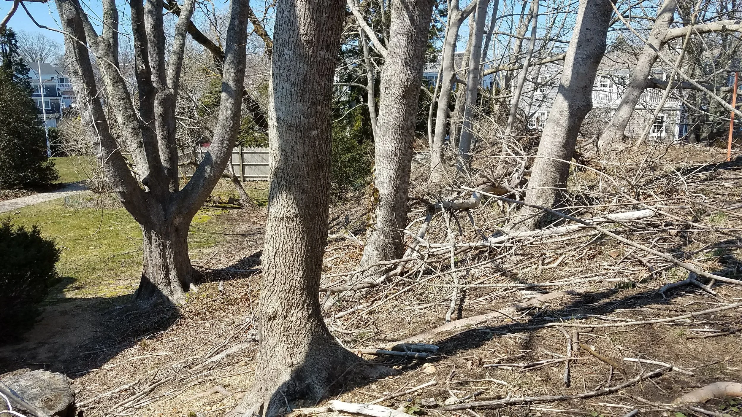 20180418_143312.jpg