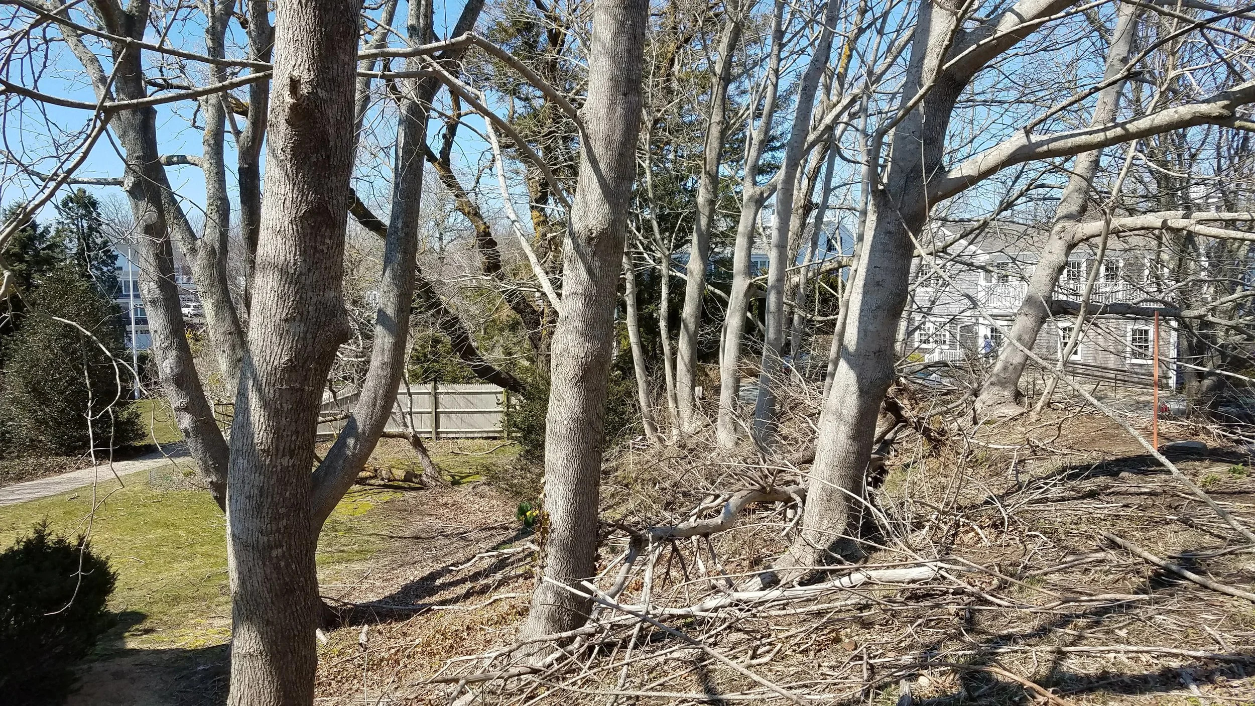 20180418_143315.jpg