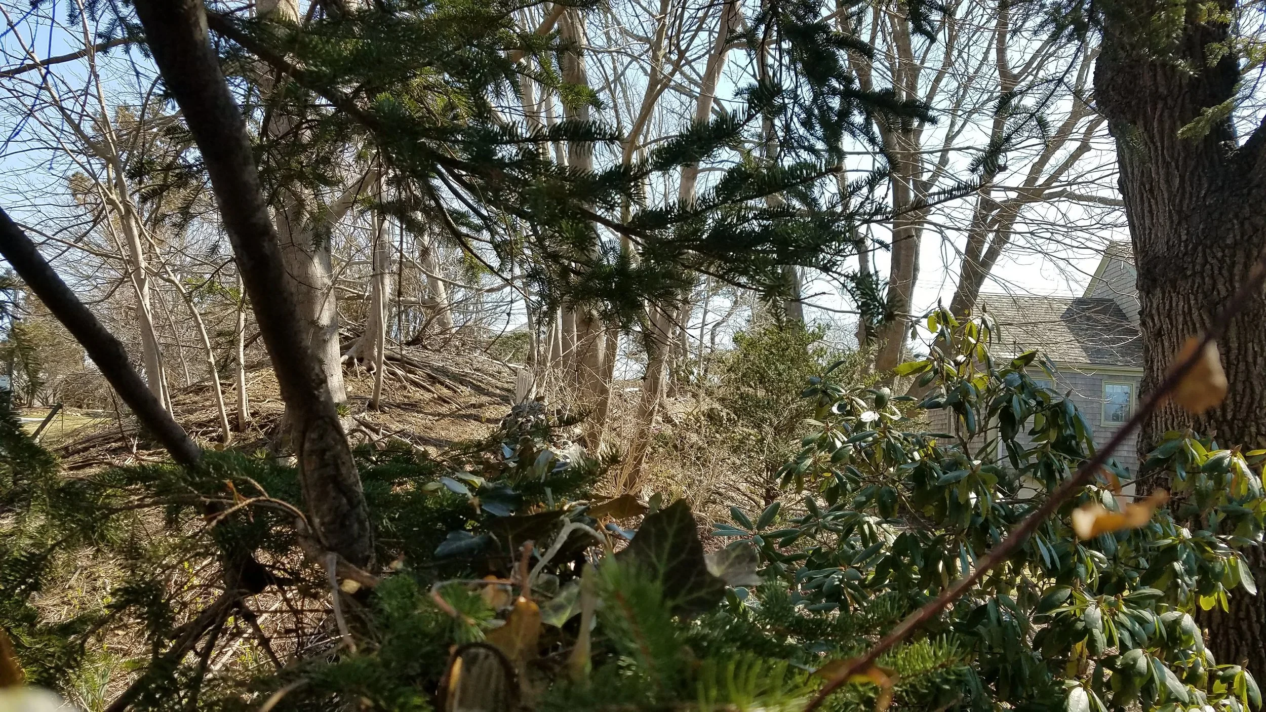 20180418_143408.jpg