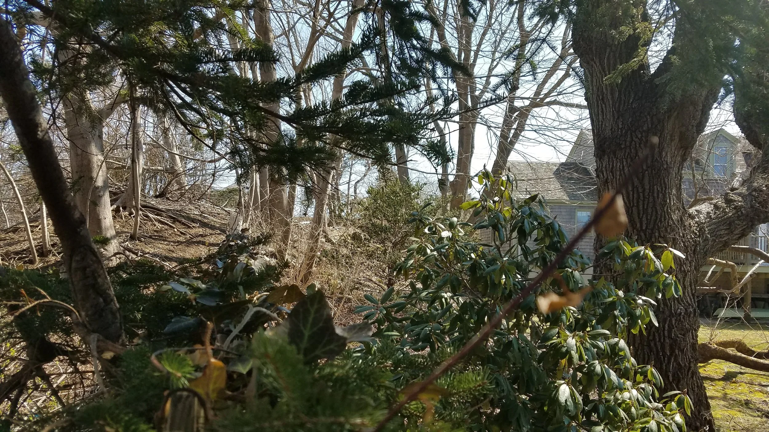 20180418_143409.jpg