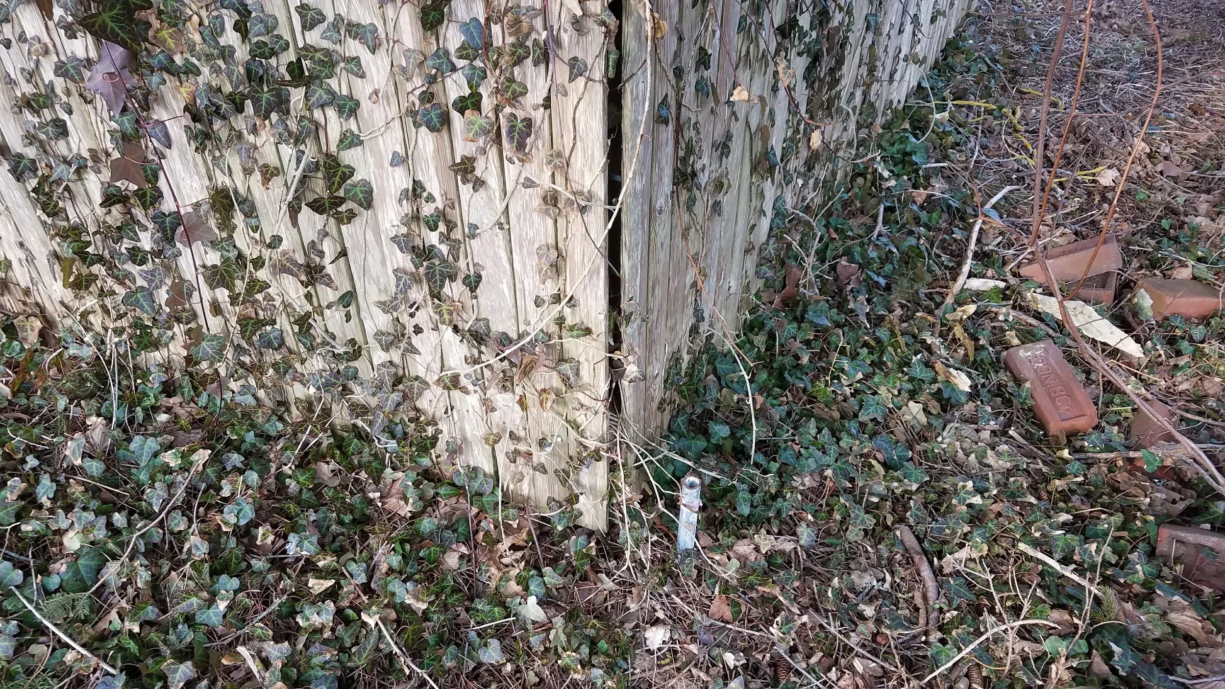 20180412_074953.jpg