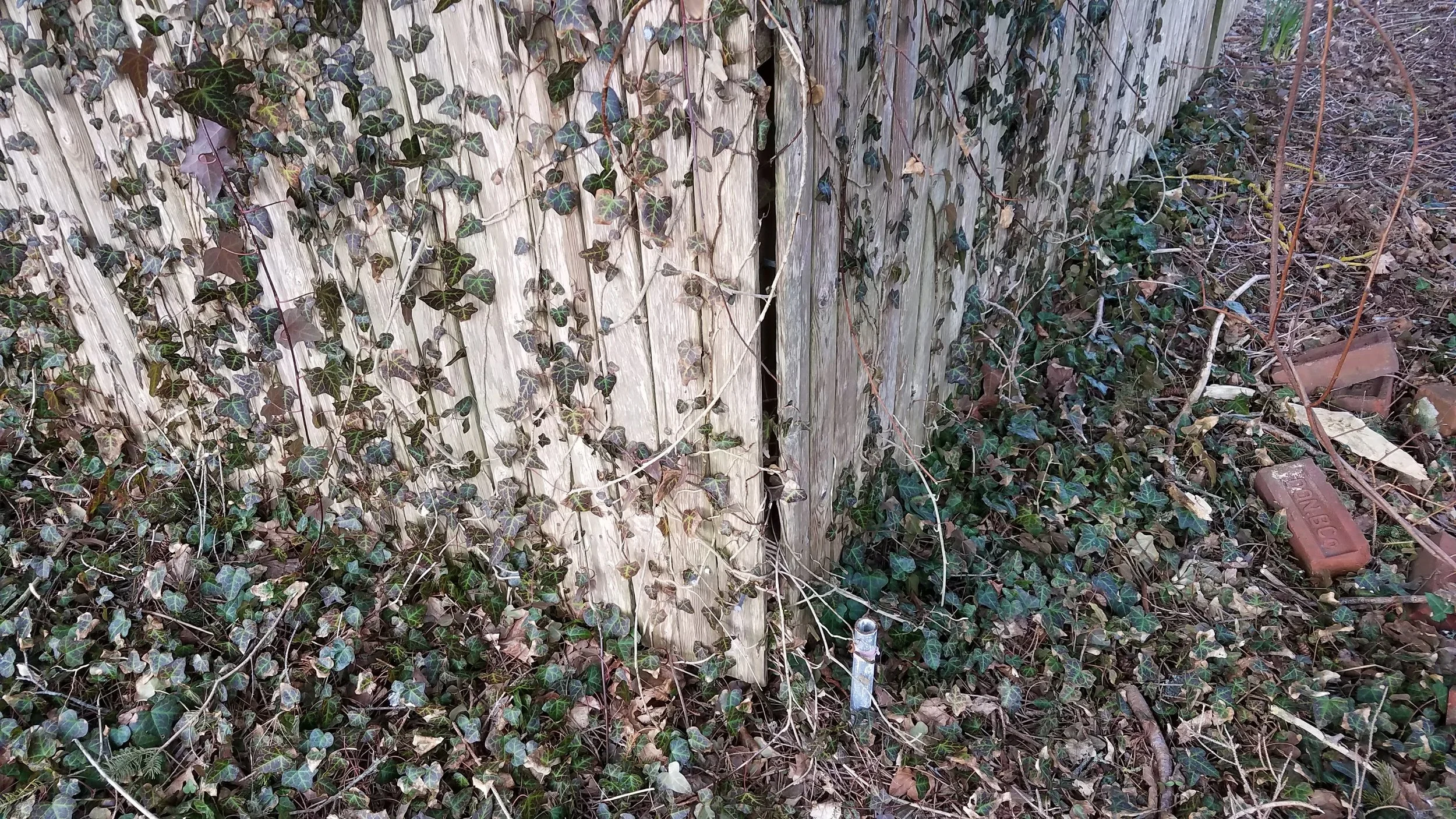 20180412_074957.jpg