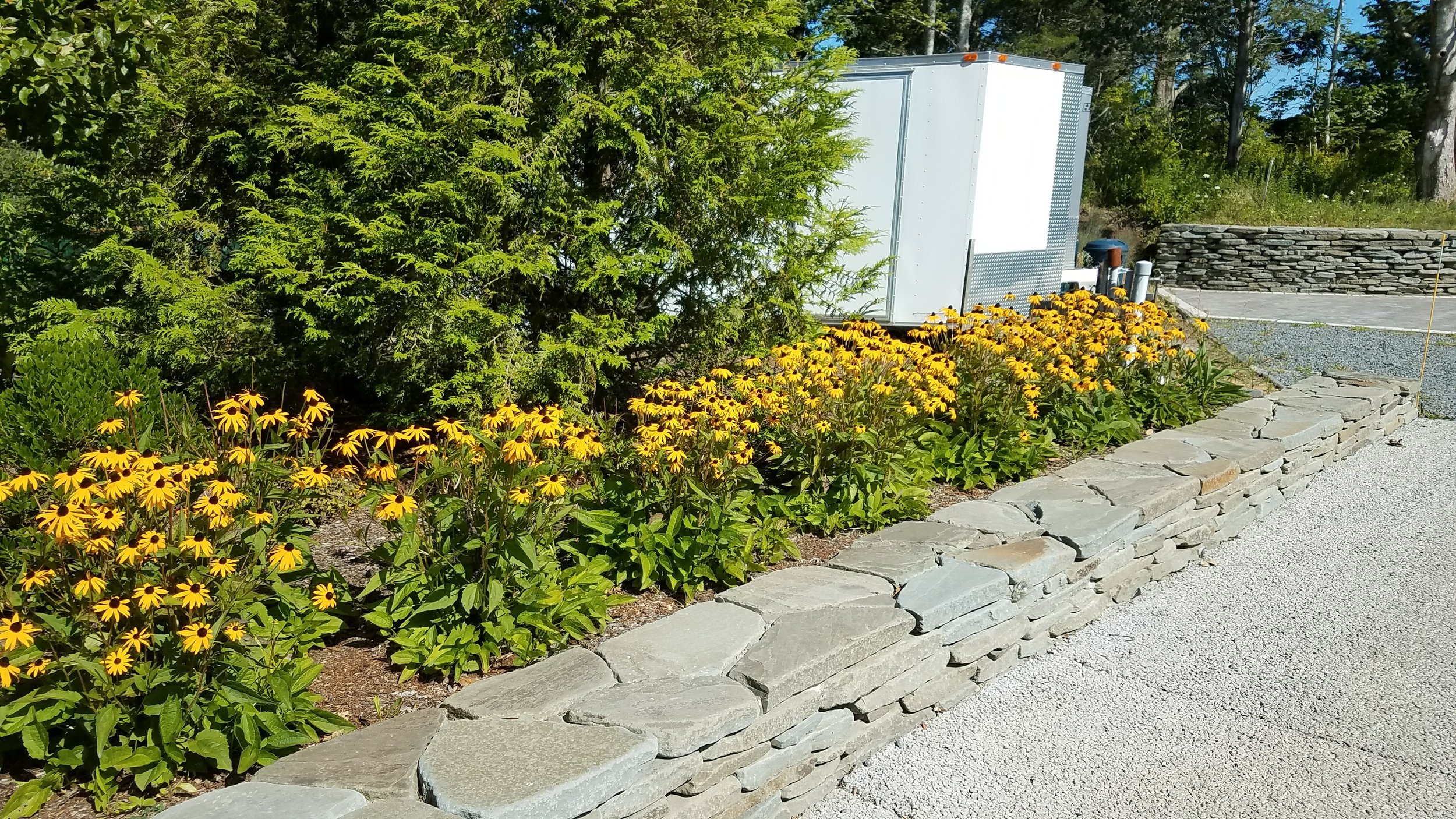 20170901_145947.jpg