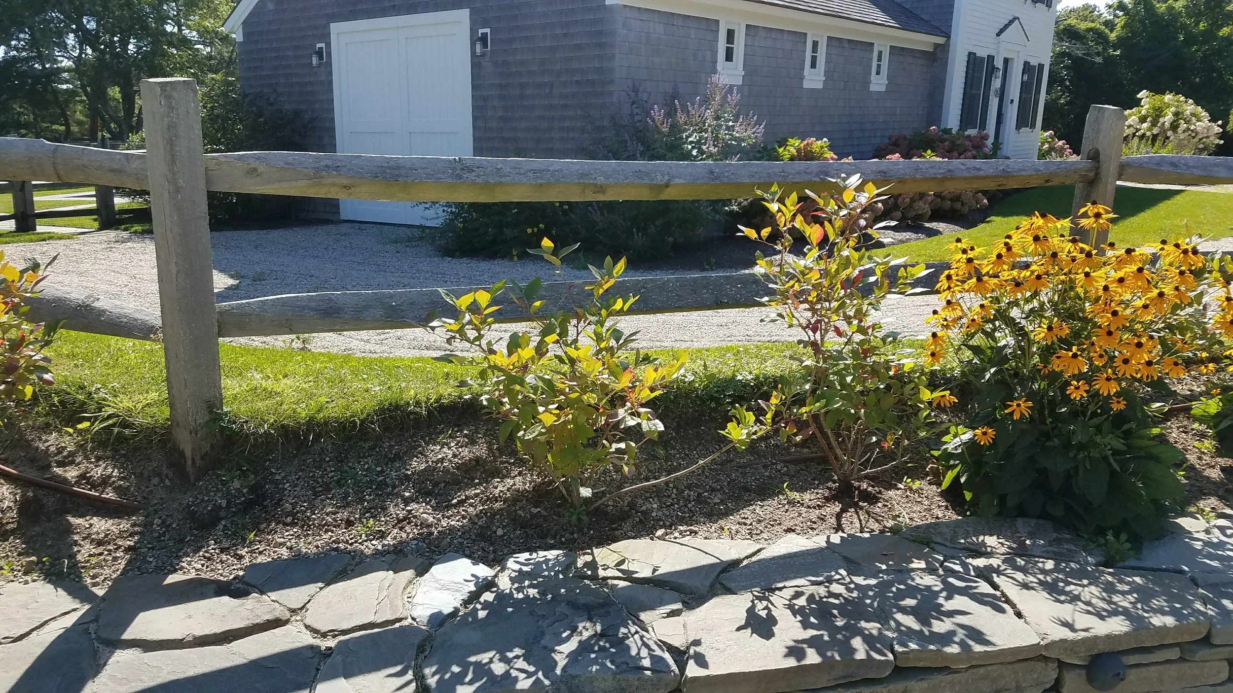 20170901_145950.jpg