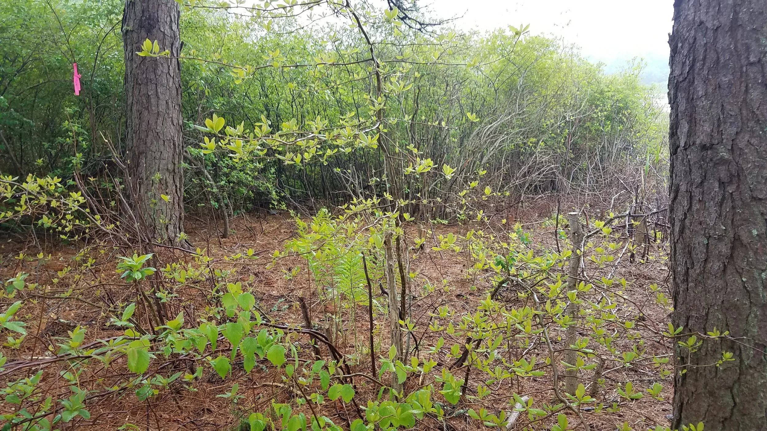 20180601_125018.jpg