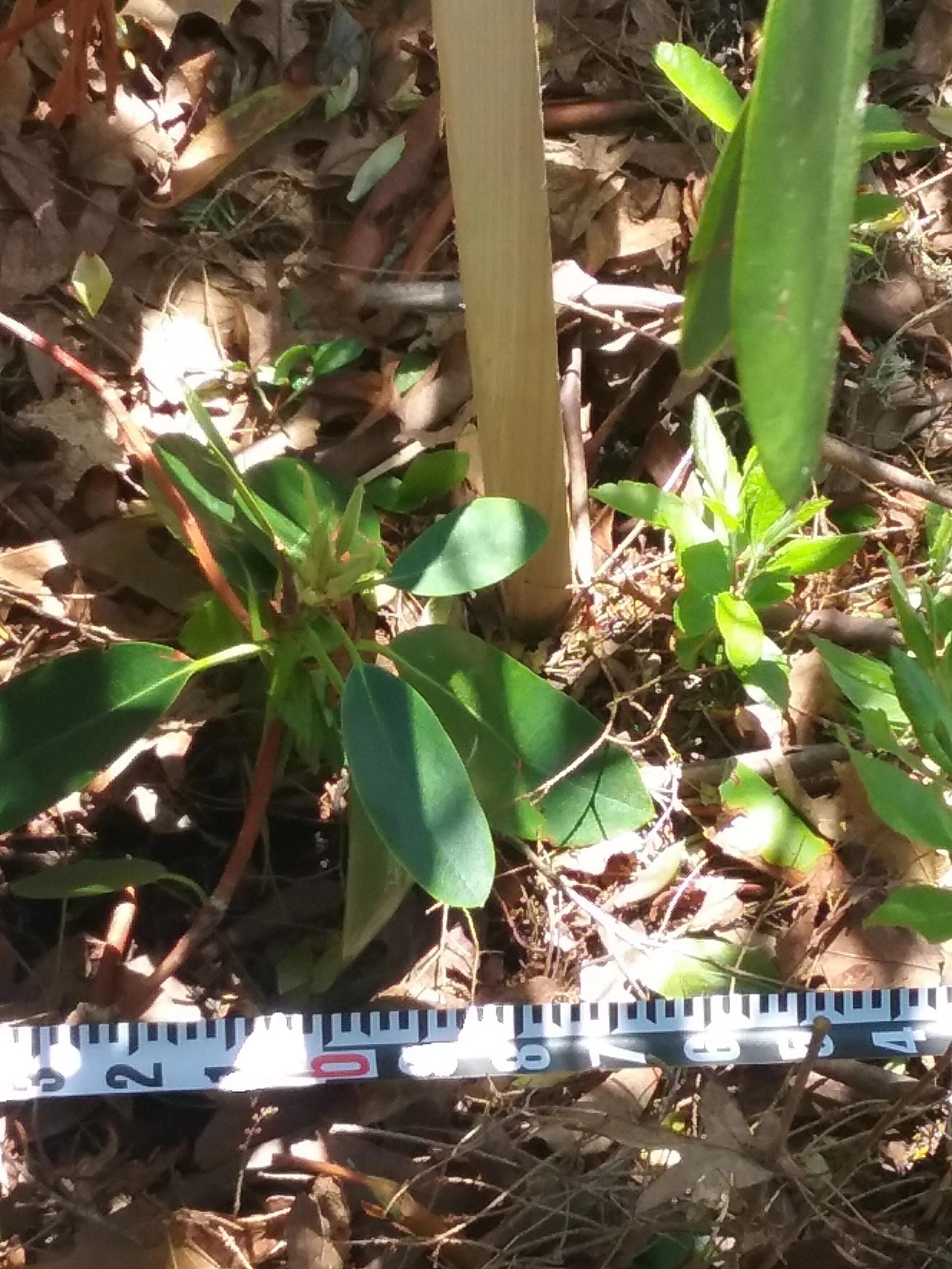 20180607_133055.jpg