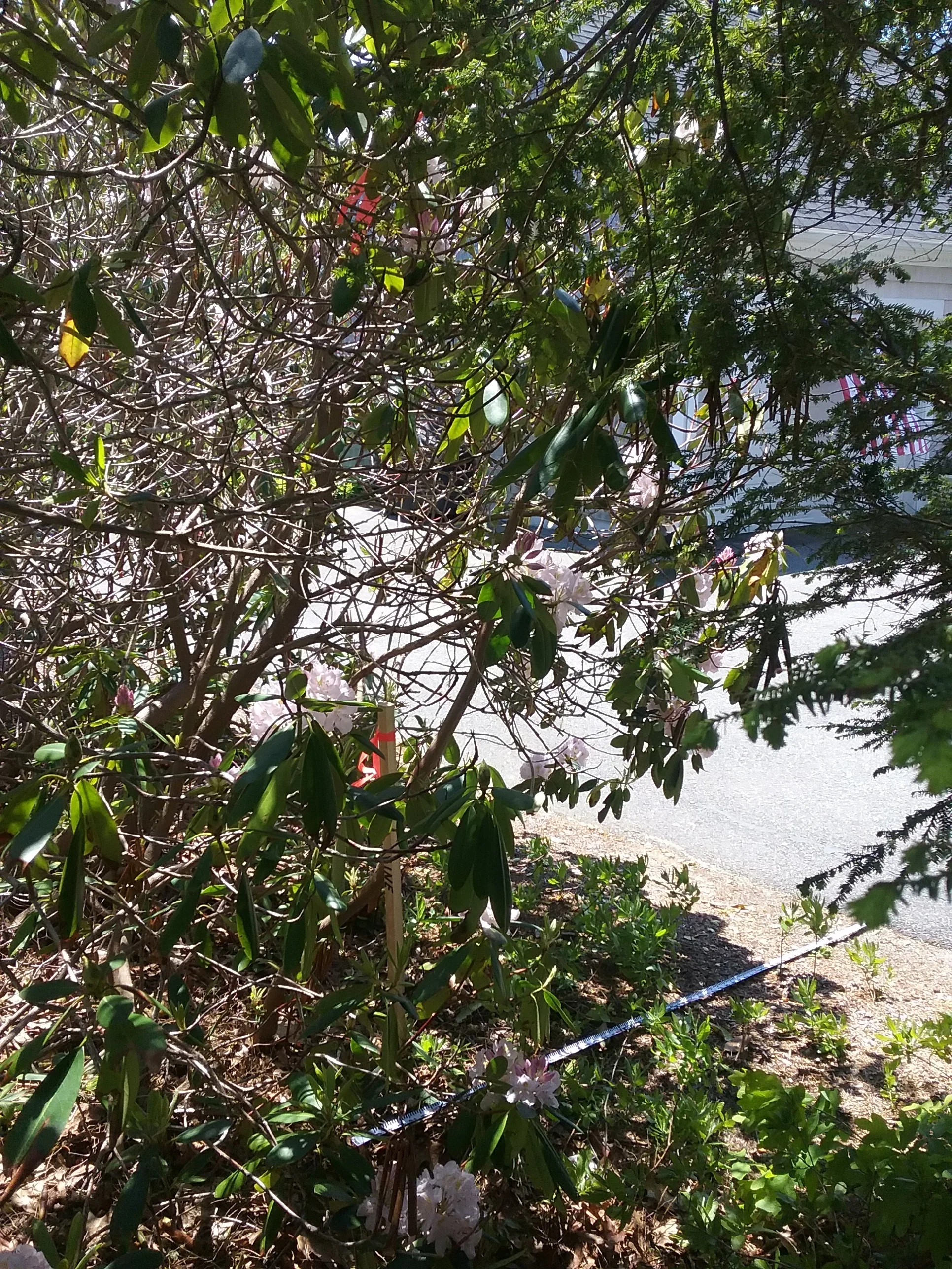 20180607_133038.jpg