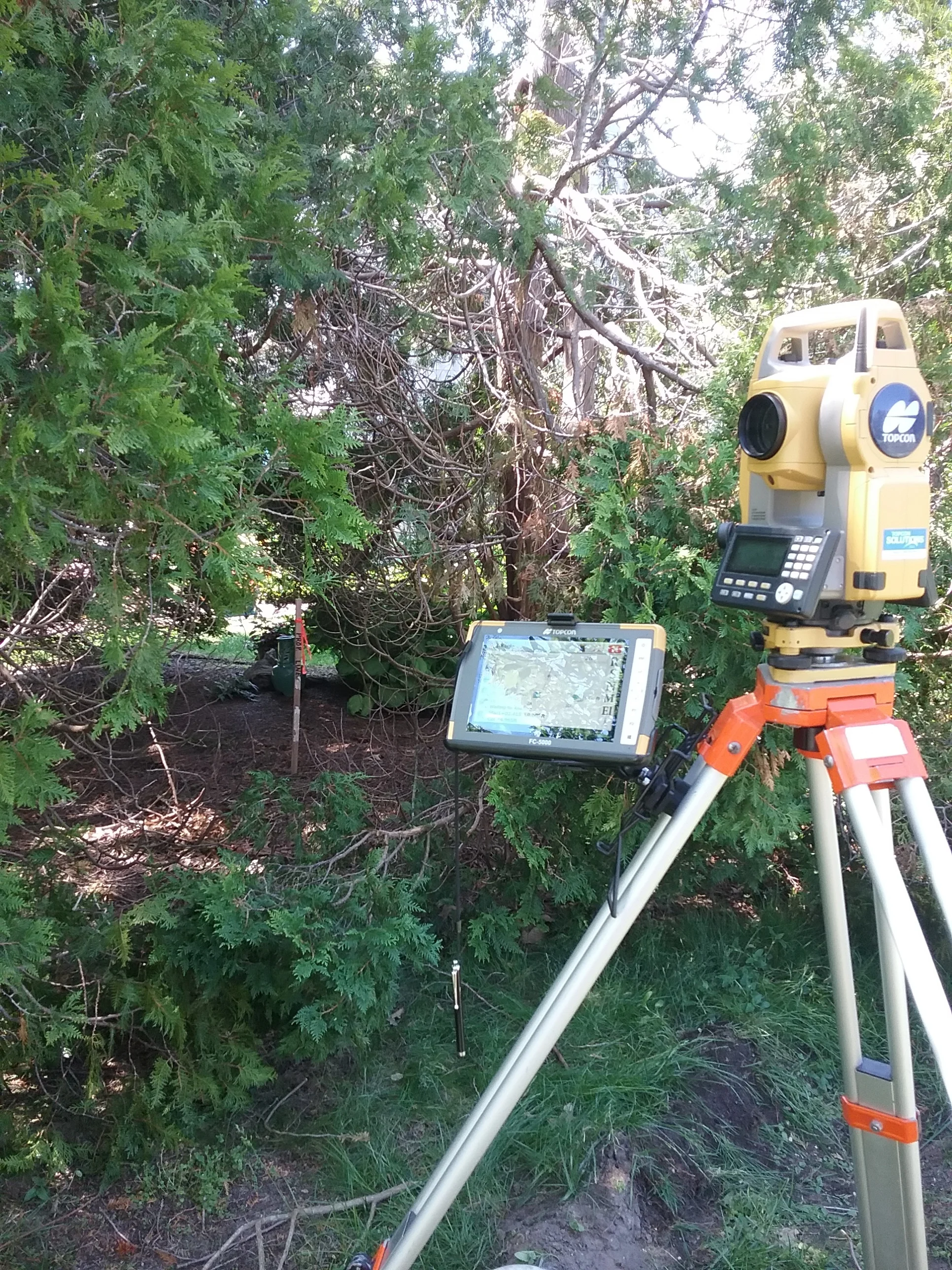 20180607_142425.jpg