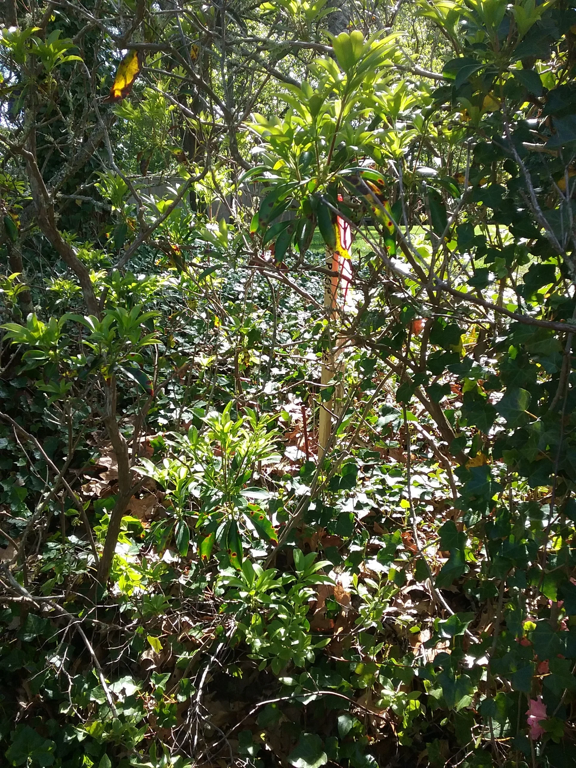 20180607_160334.jpg