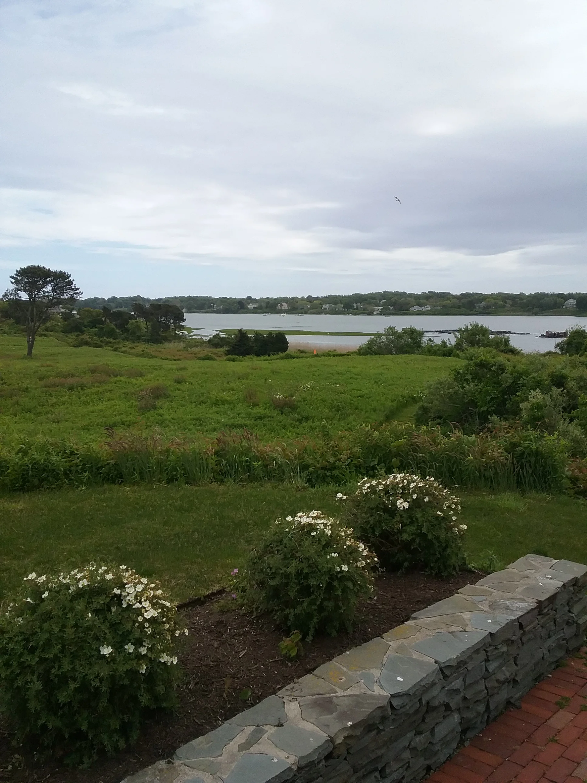 First Floor to Stake @ 15.5' AGL