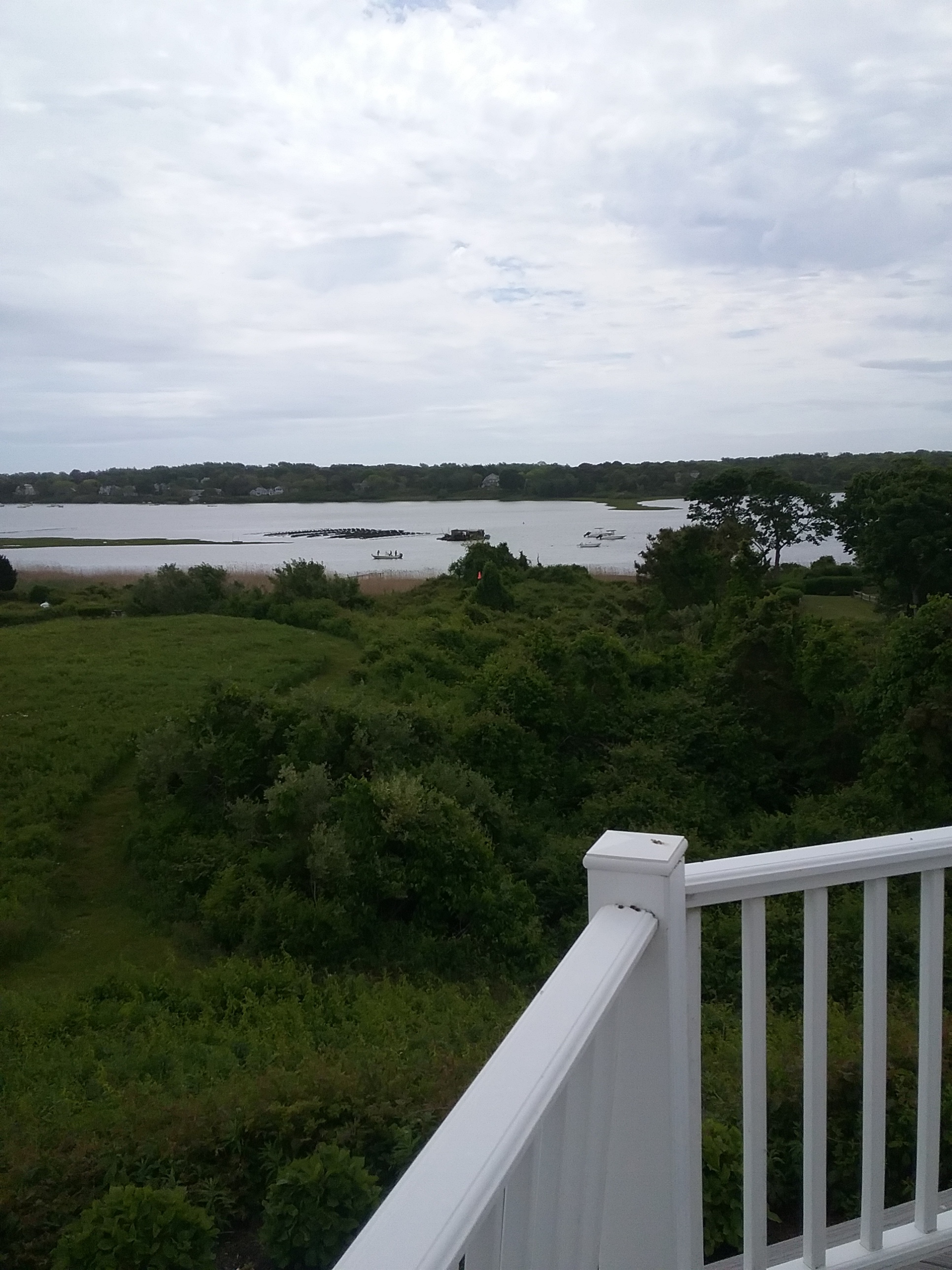 Balcony to Tree @ 10' AGL