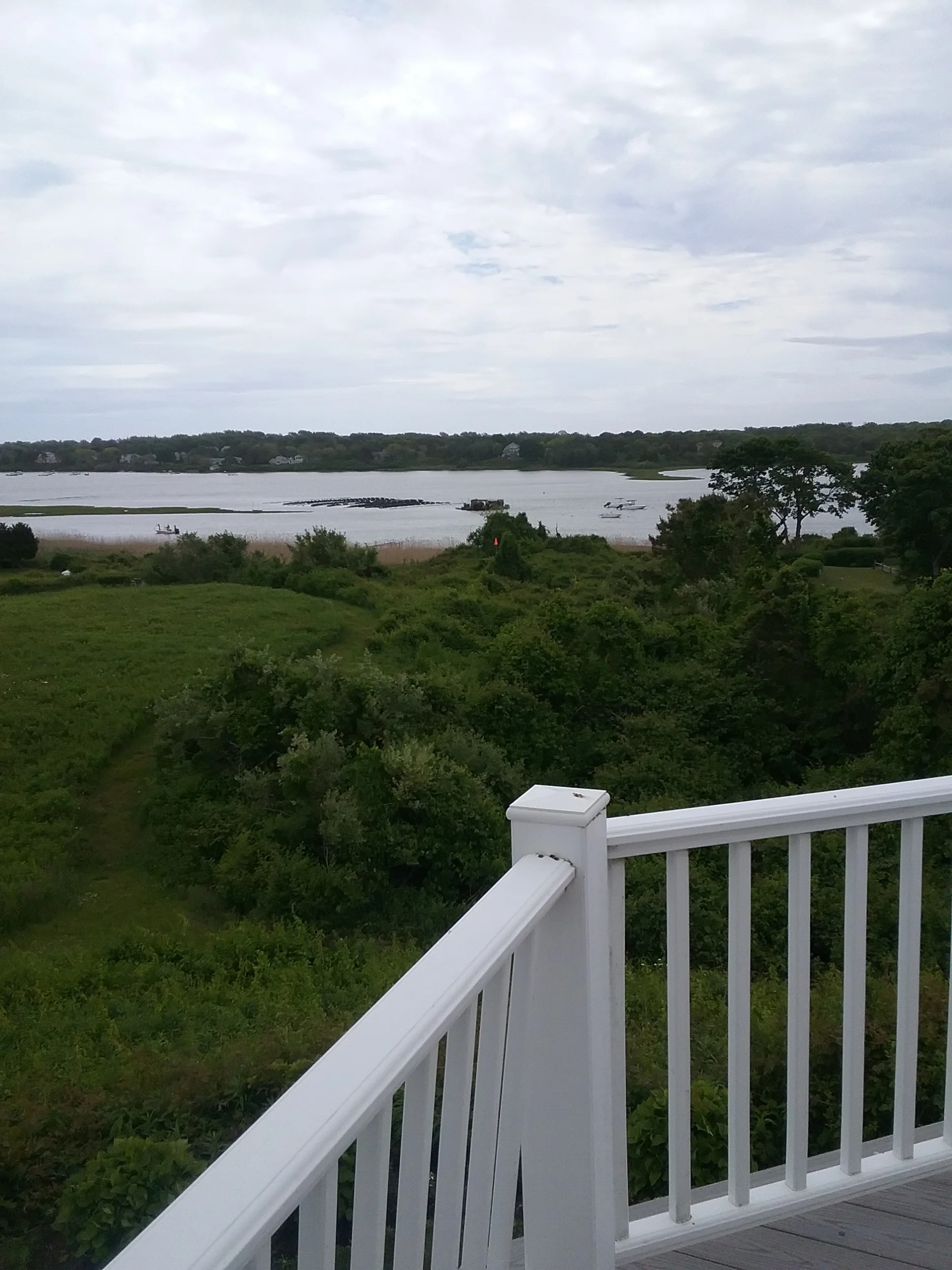 Balcony to Tree @ 12' AGL