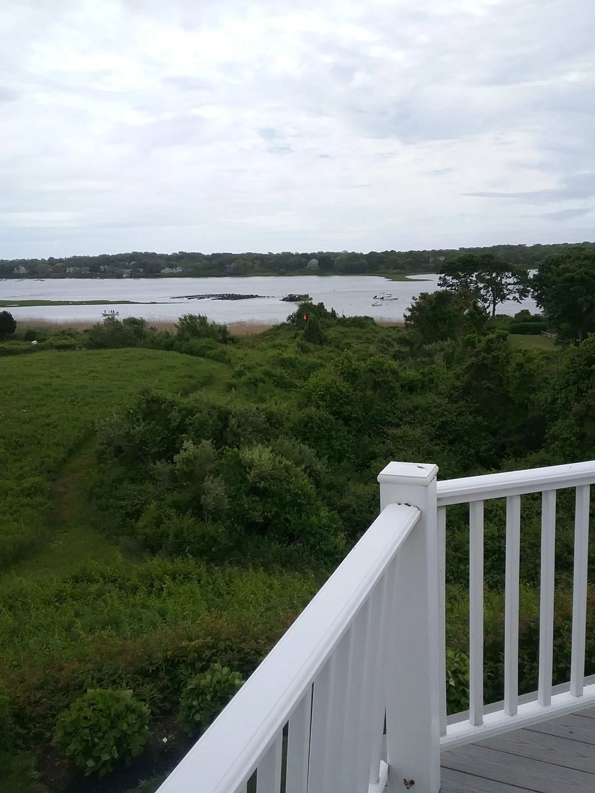 Balcony to Tree @ 14' AGL