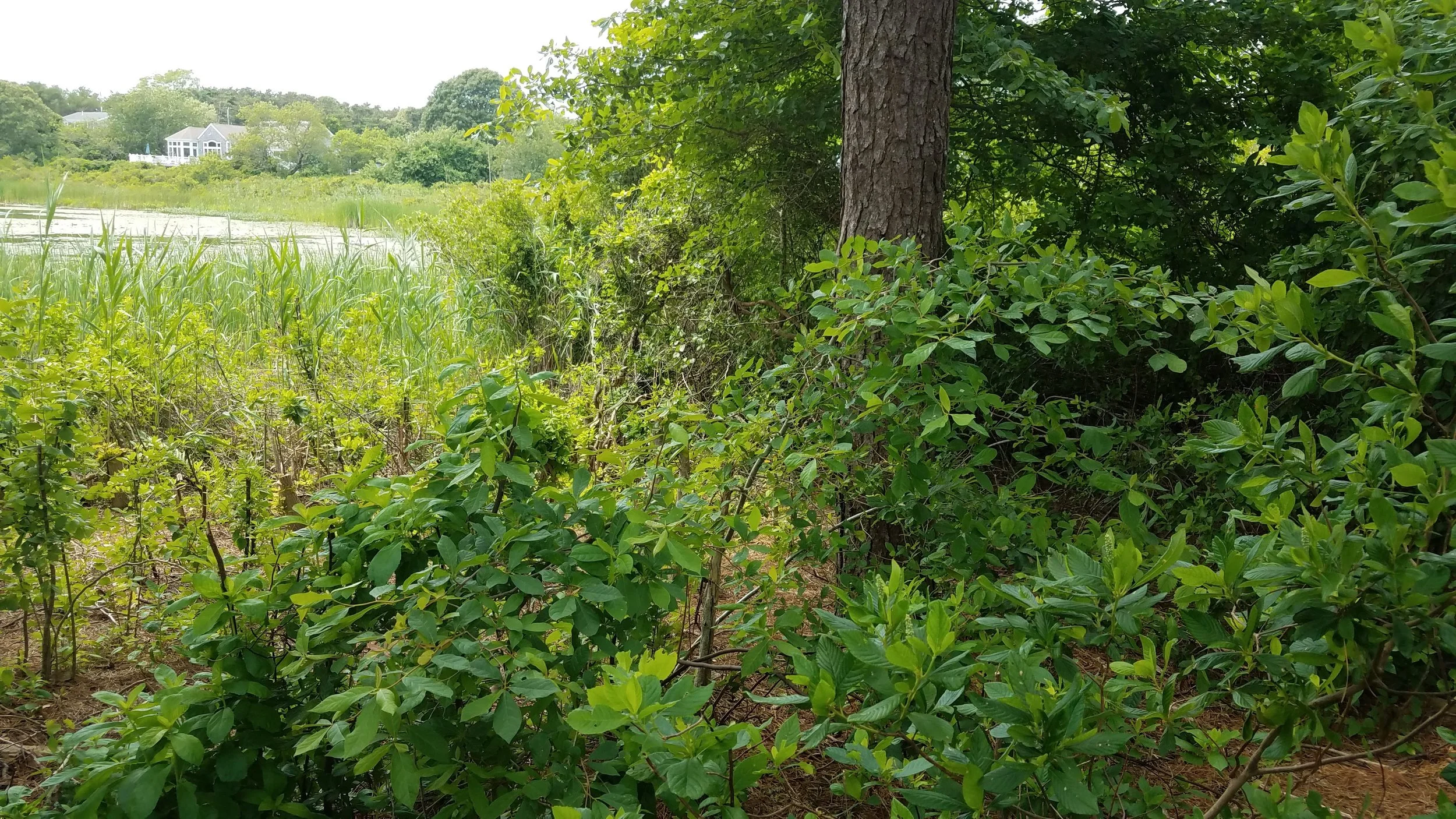 20180711_141238.jpg