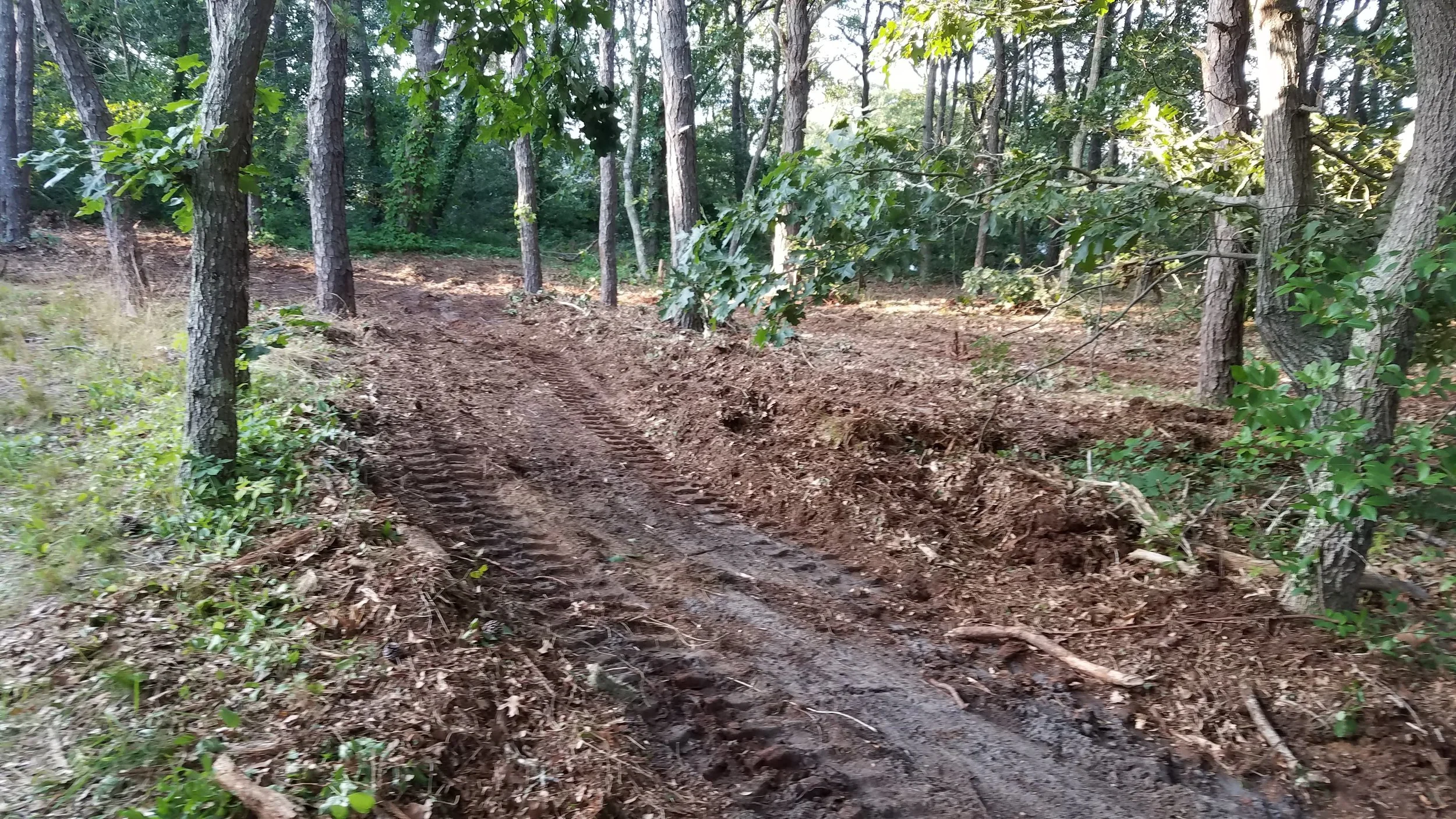 20180711_185124.jpg