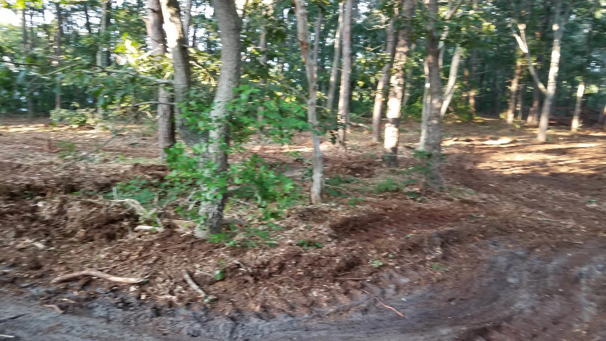 20180711_185126.jpg
