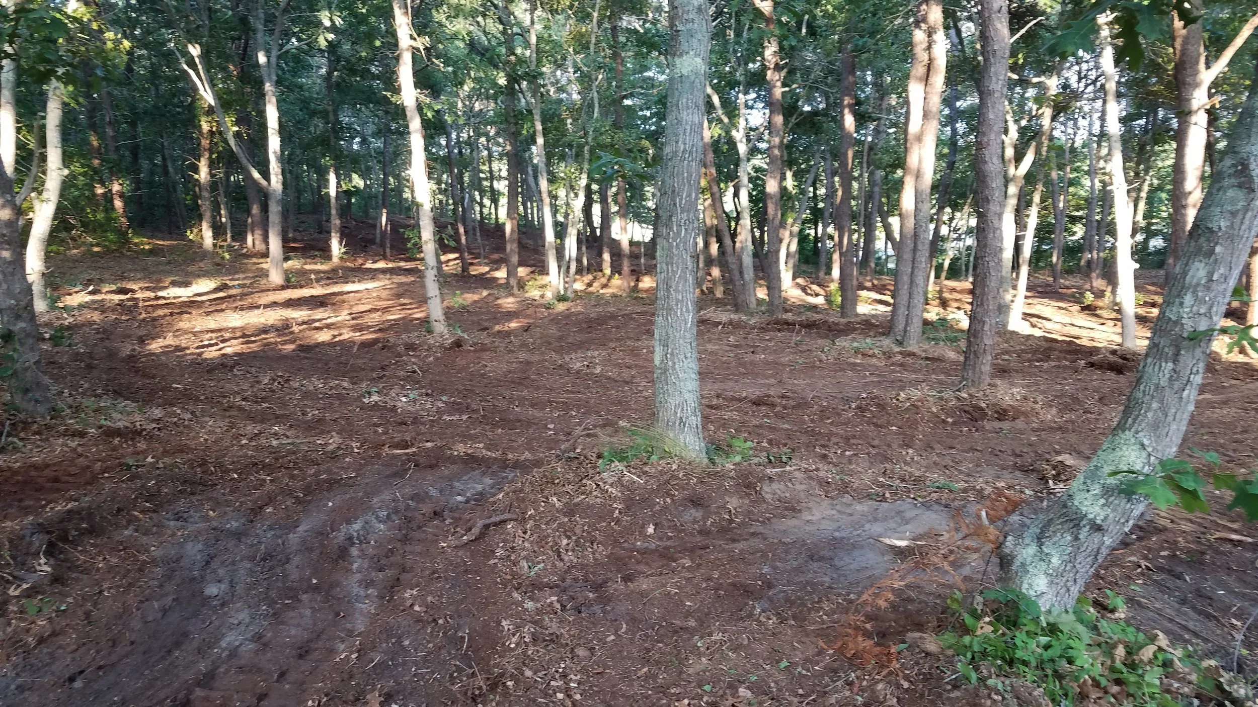 20180711_185129.jpg