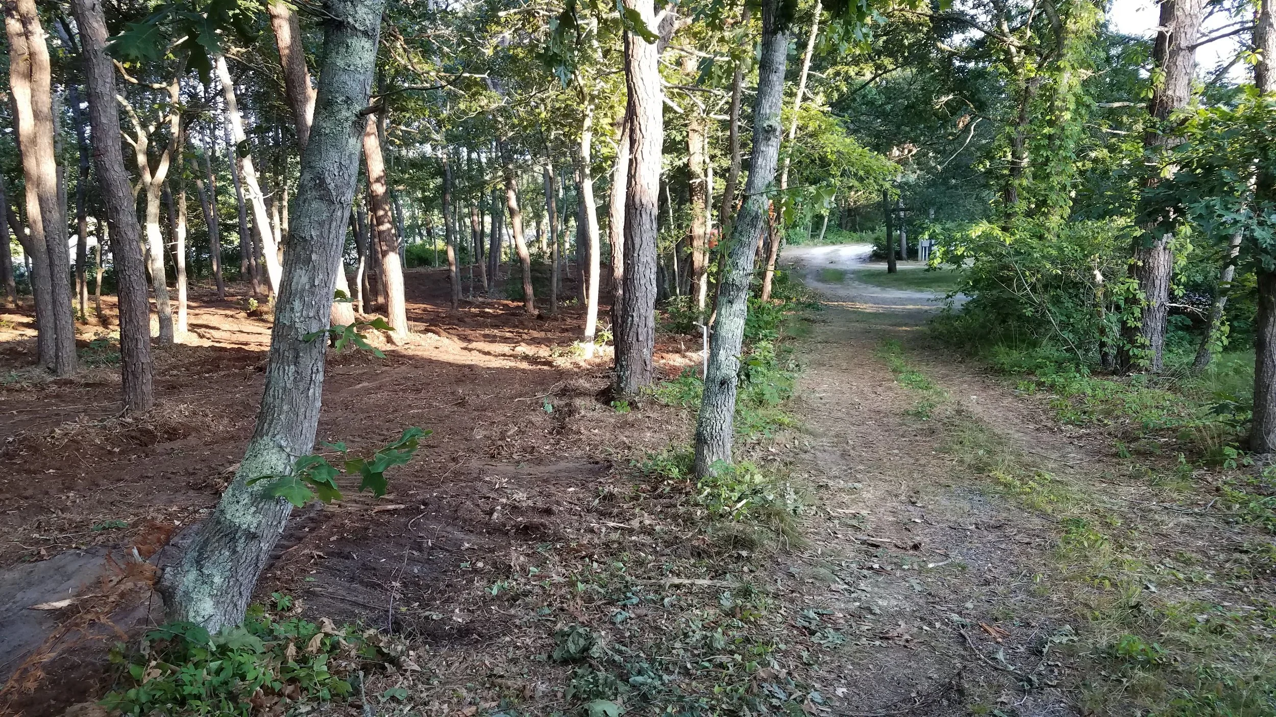 20180711_185130.jpg