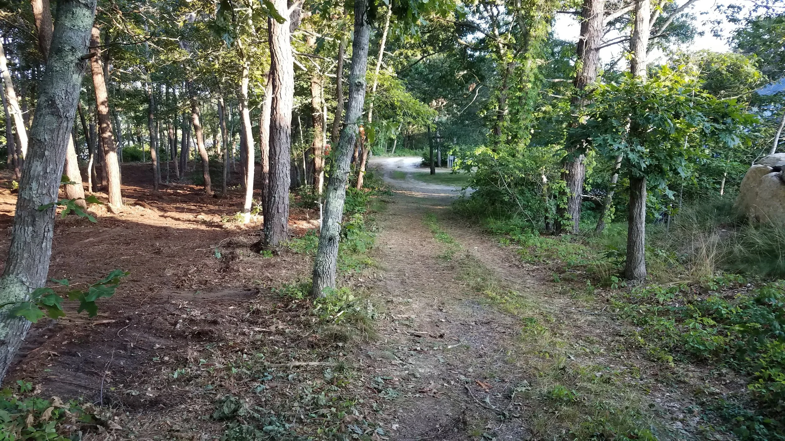 20180711_185133.jpg