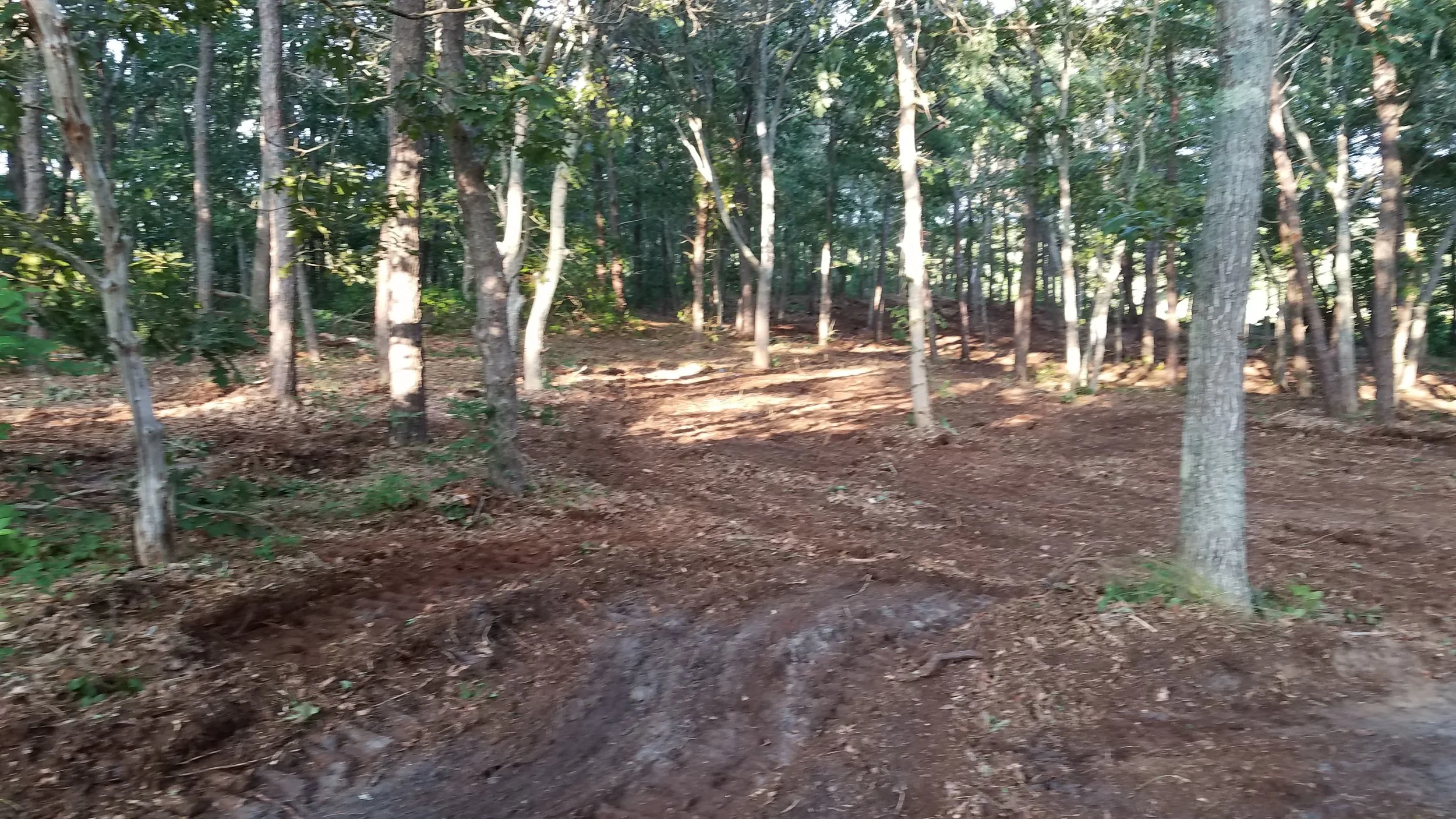 20180711_185135.jpg