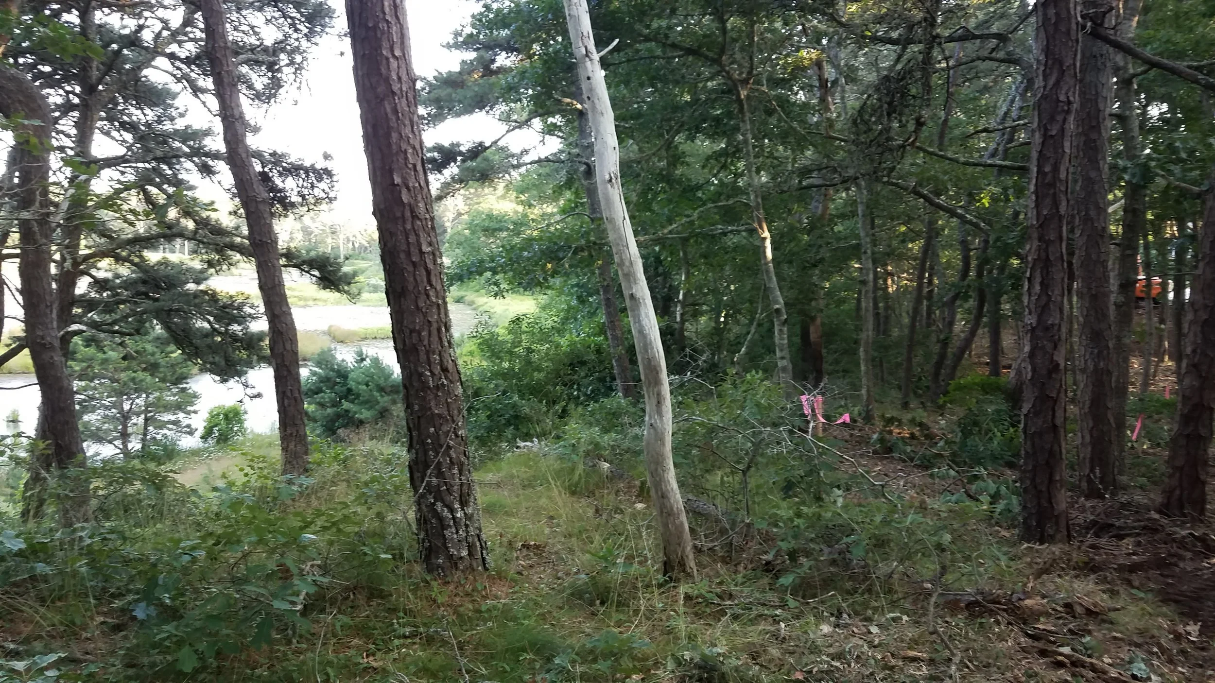 20180711_185313.jpg
