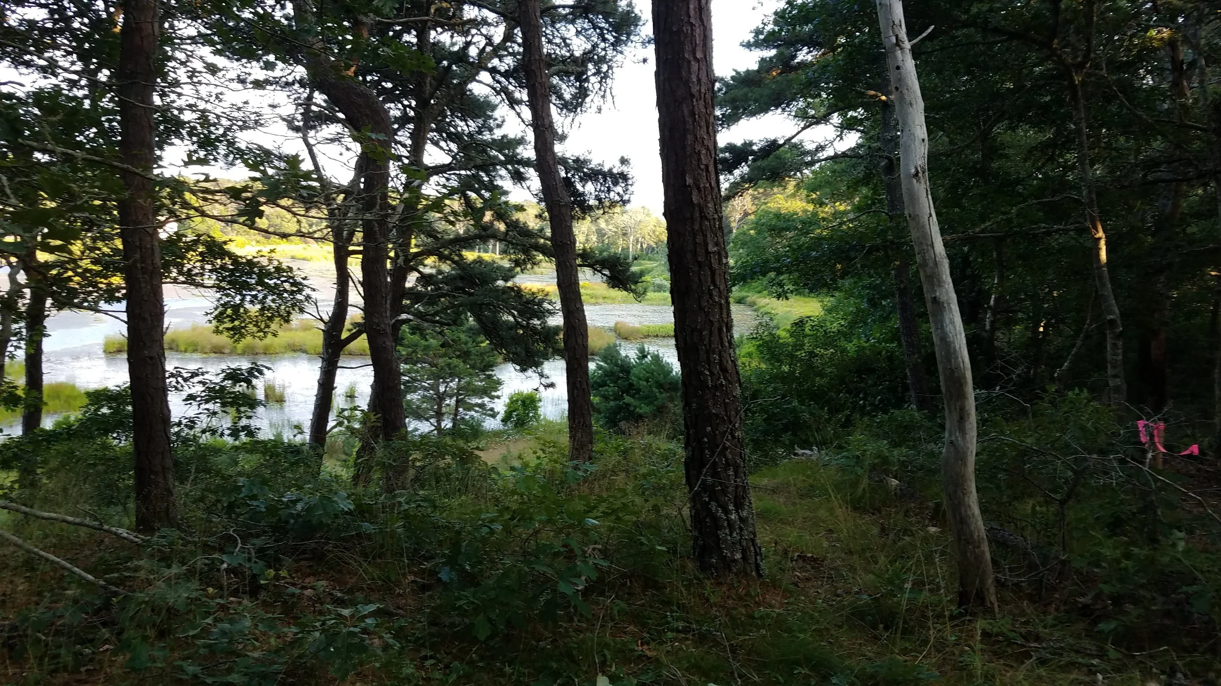 20180711_185314.jpg