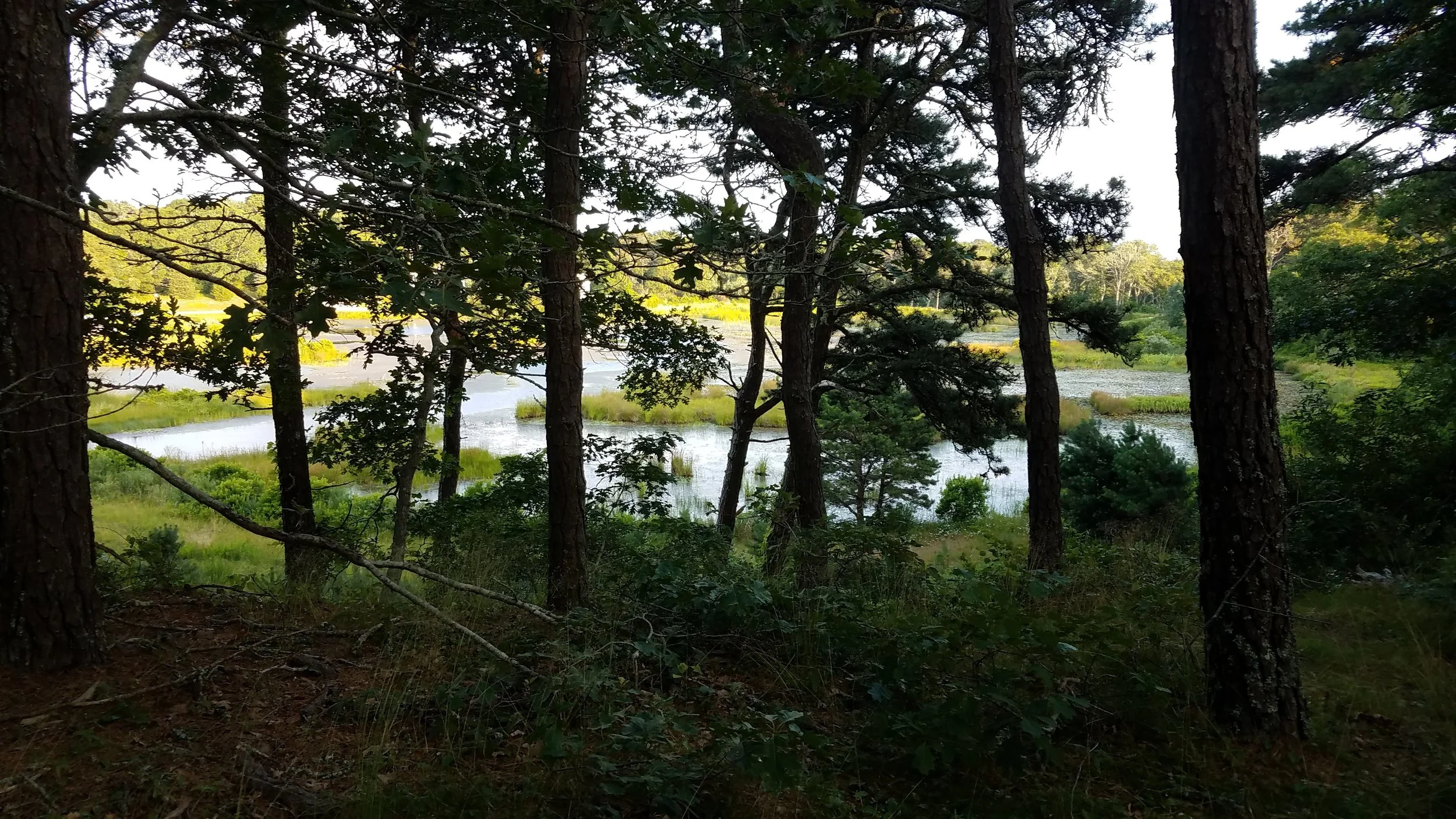 20180711_185315.jpg