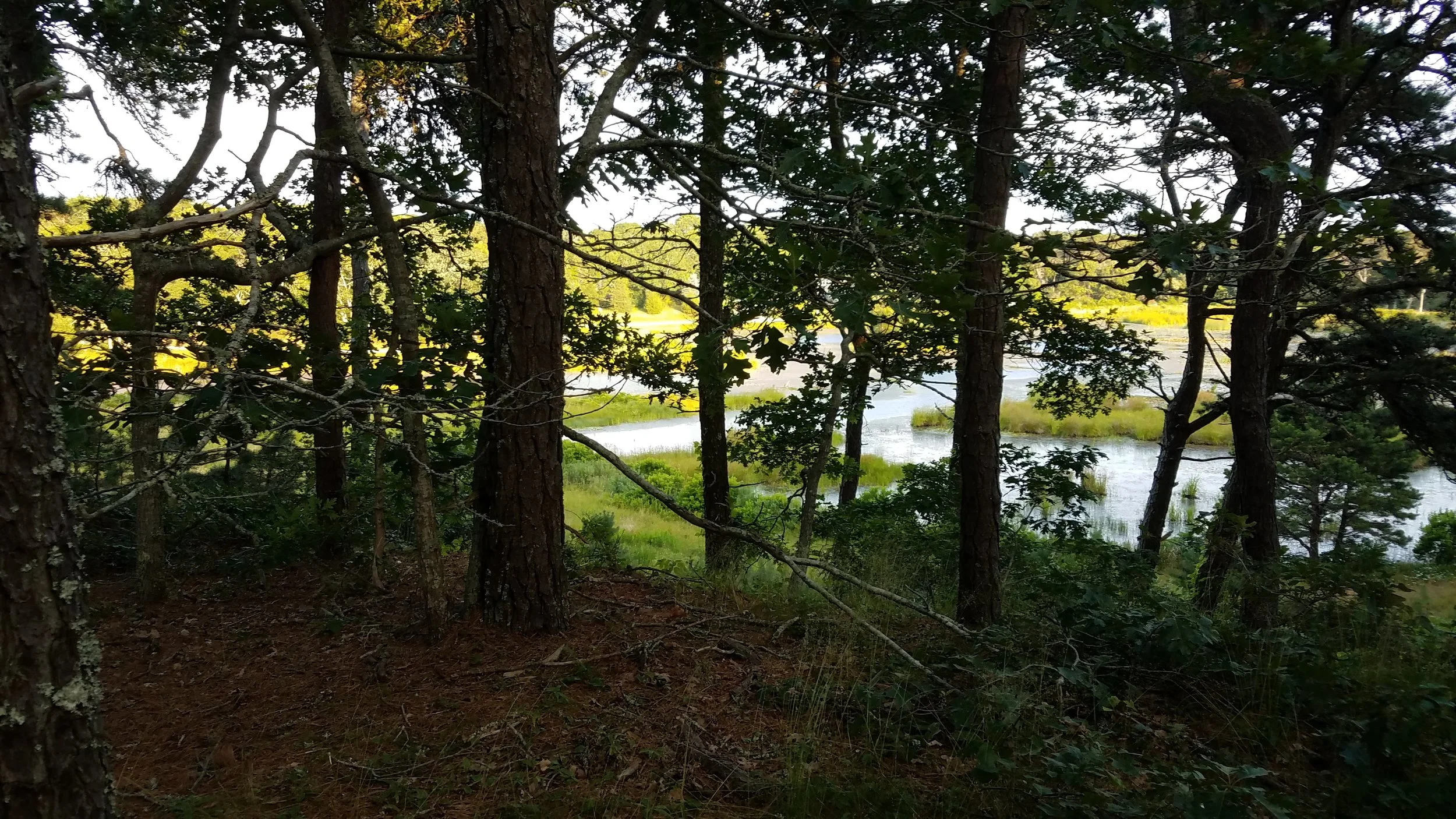 20180711_185316.jpg