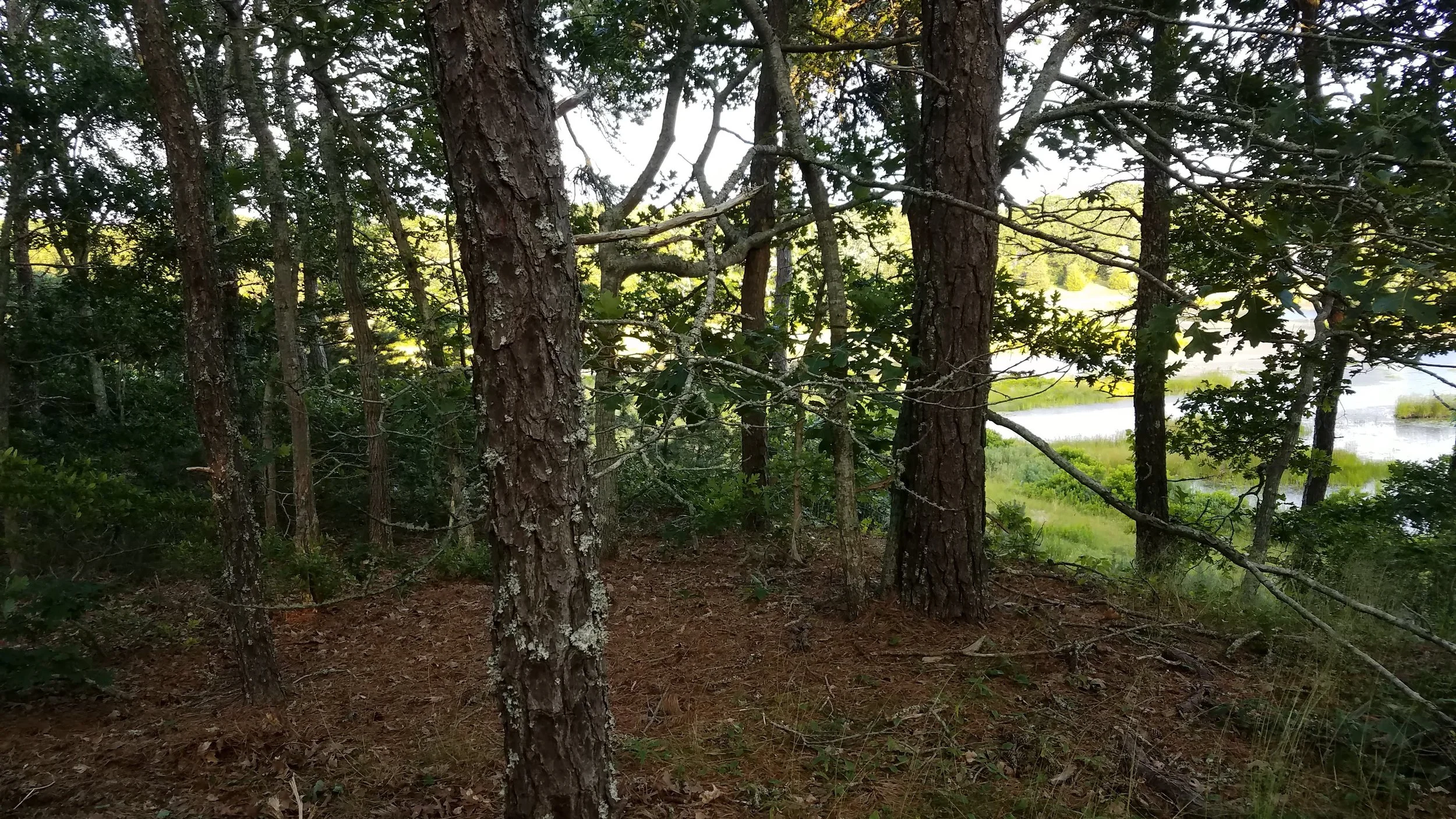 20180711_185317.jpg