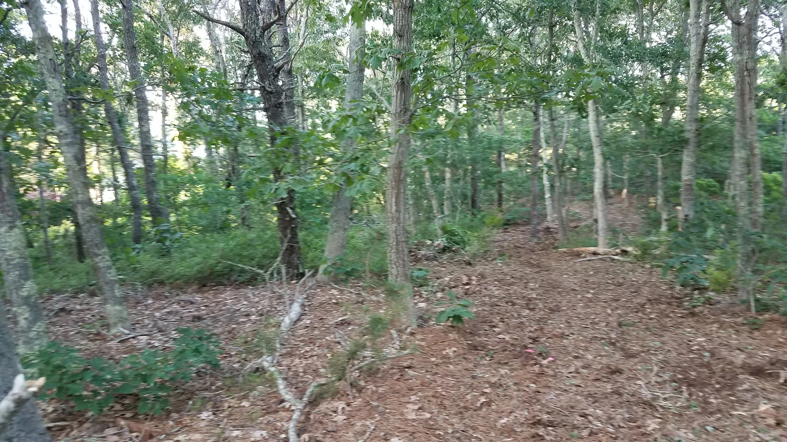 20180711_185320.jpg