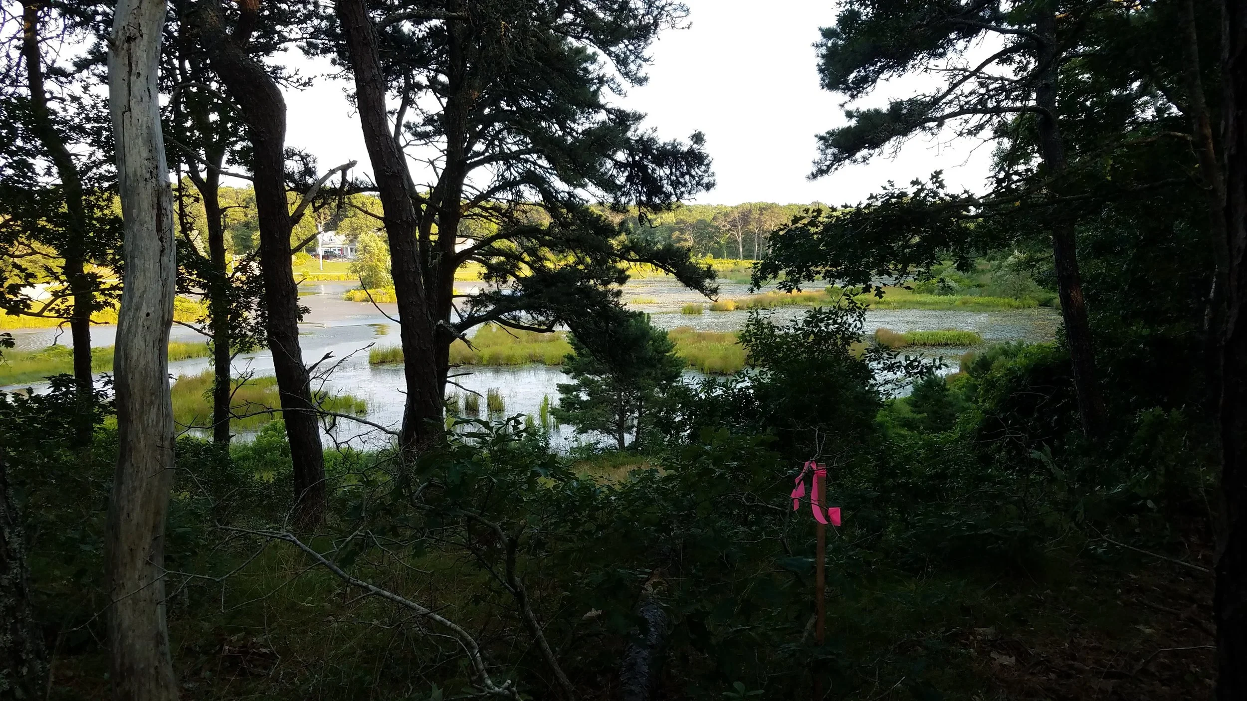 20180711_185647.jpg