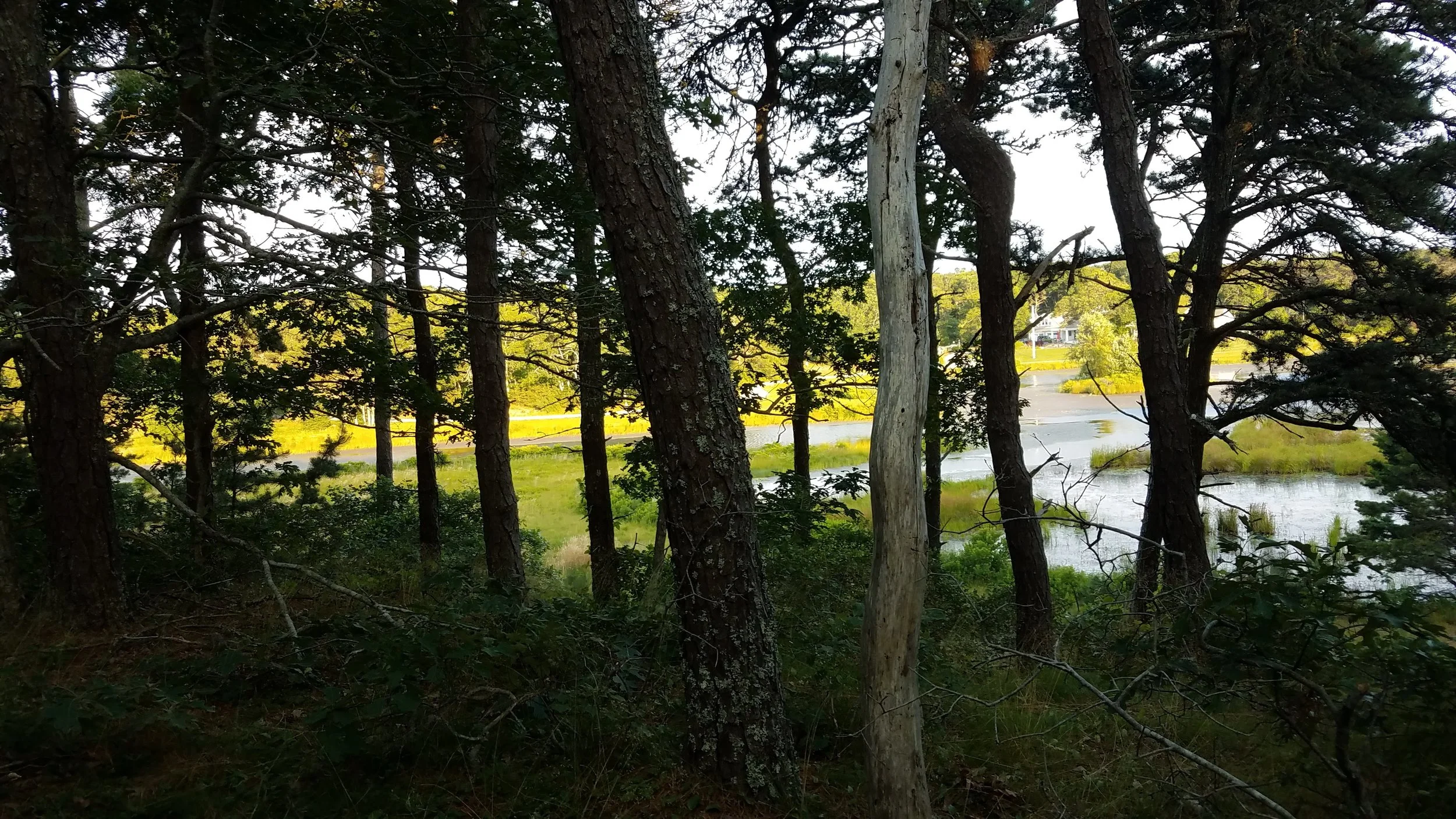 20180711_185649.jpg