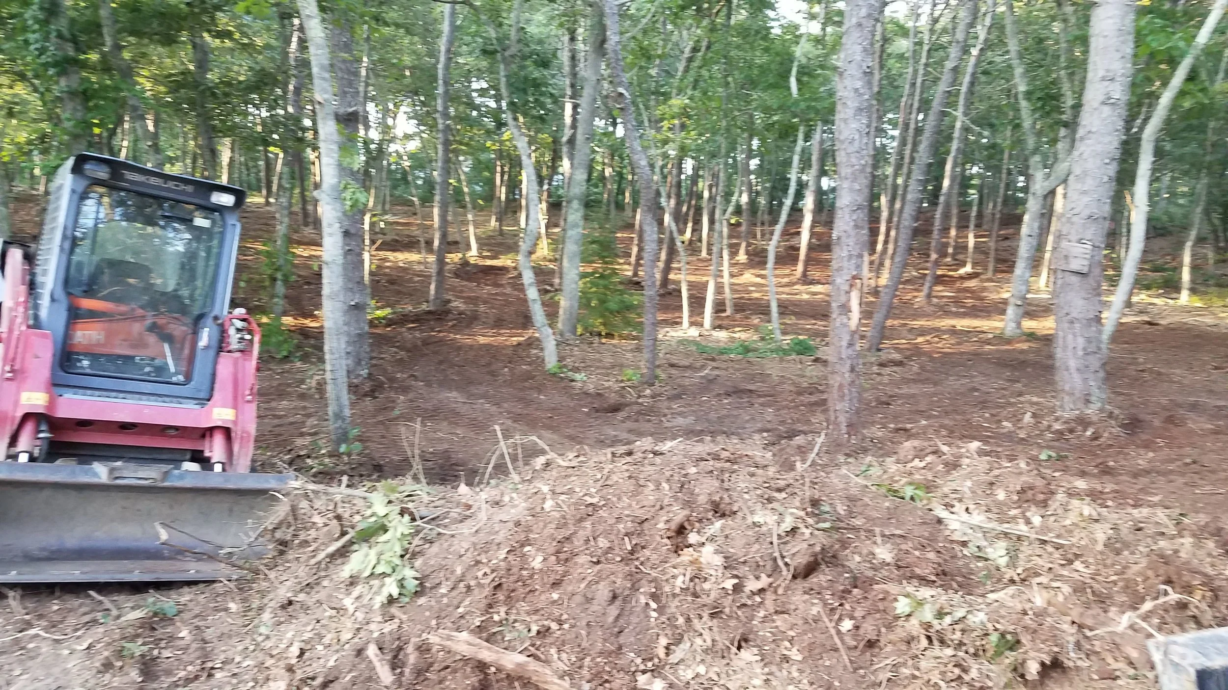 20180711_190131.jpg