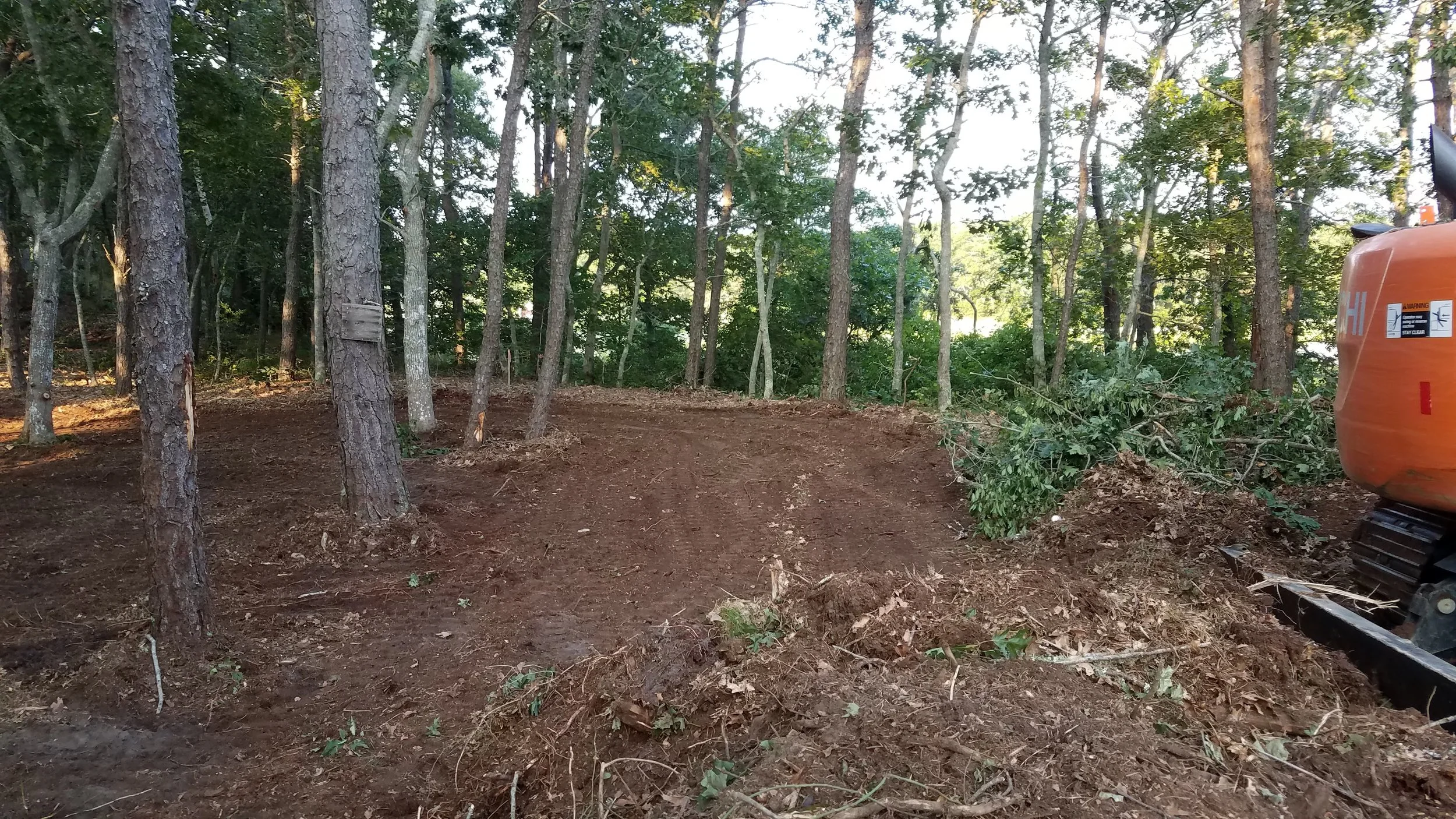 20180711_190138.jpg
