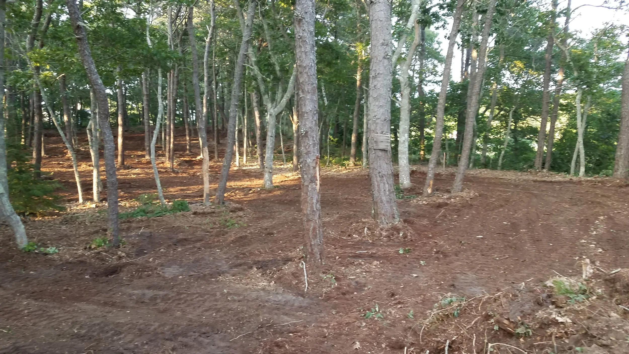 20180711_190140.jpg